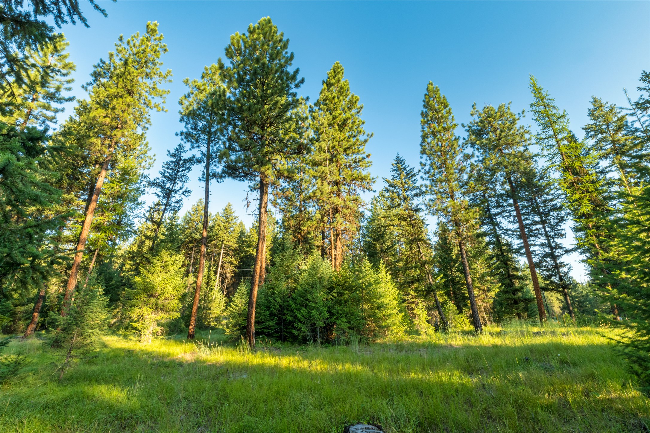 18 Baldy Mountain View Road