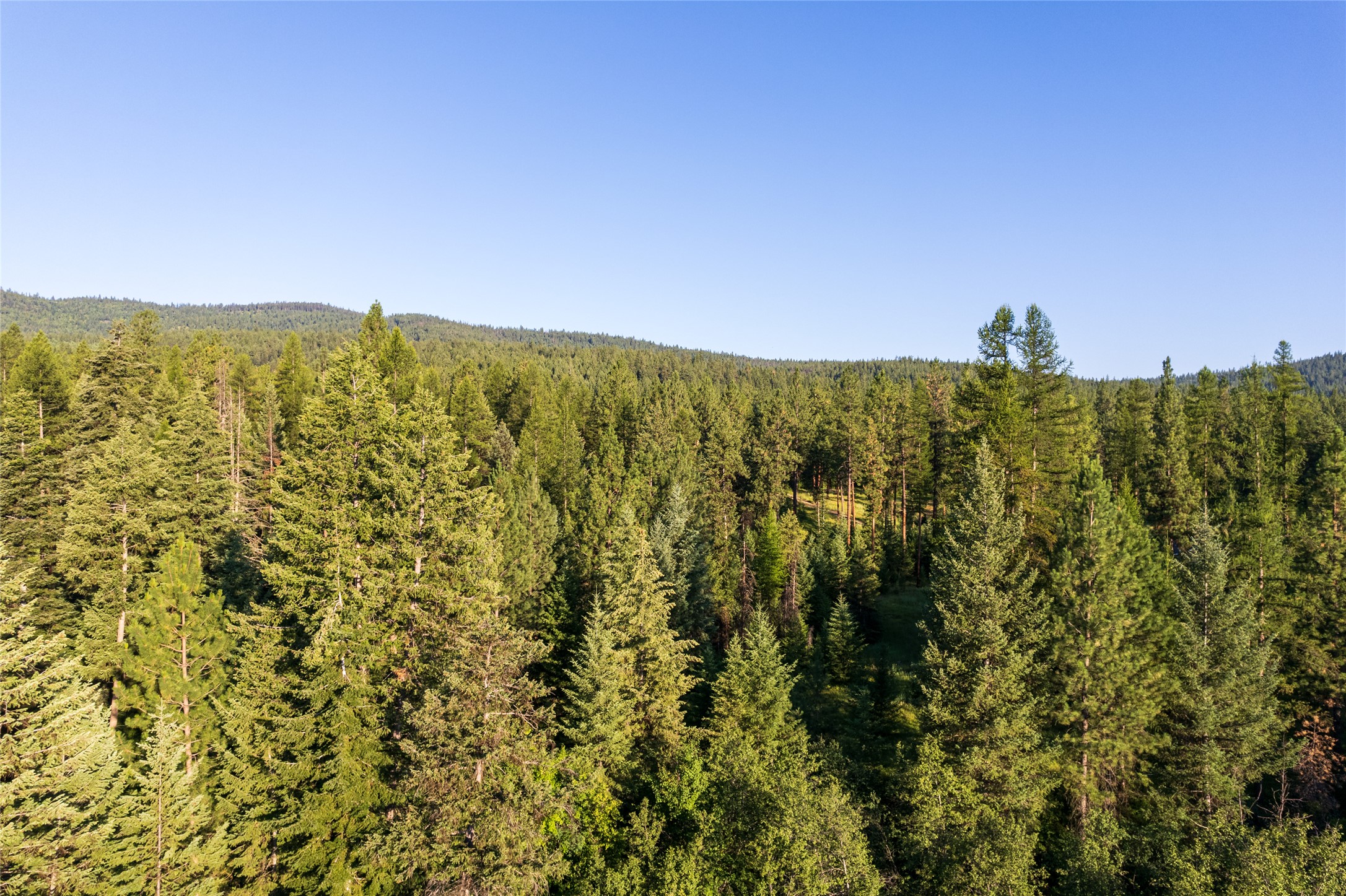 18 Baldy Mountain View Road