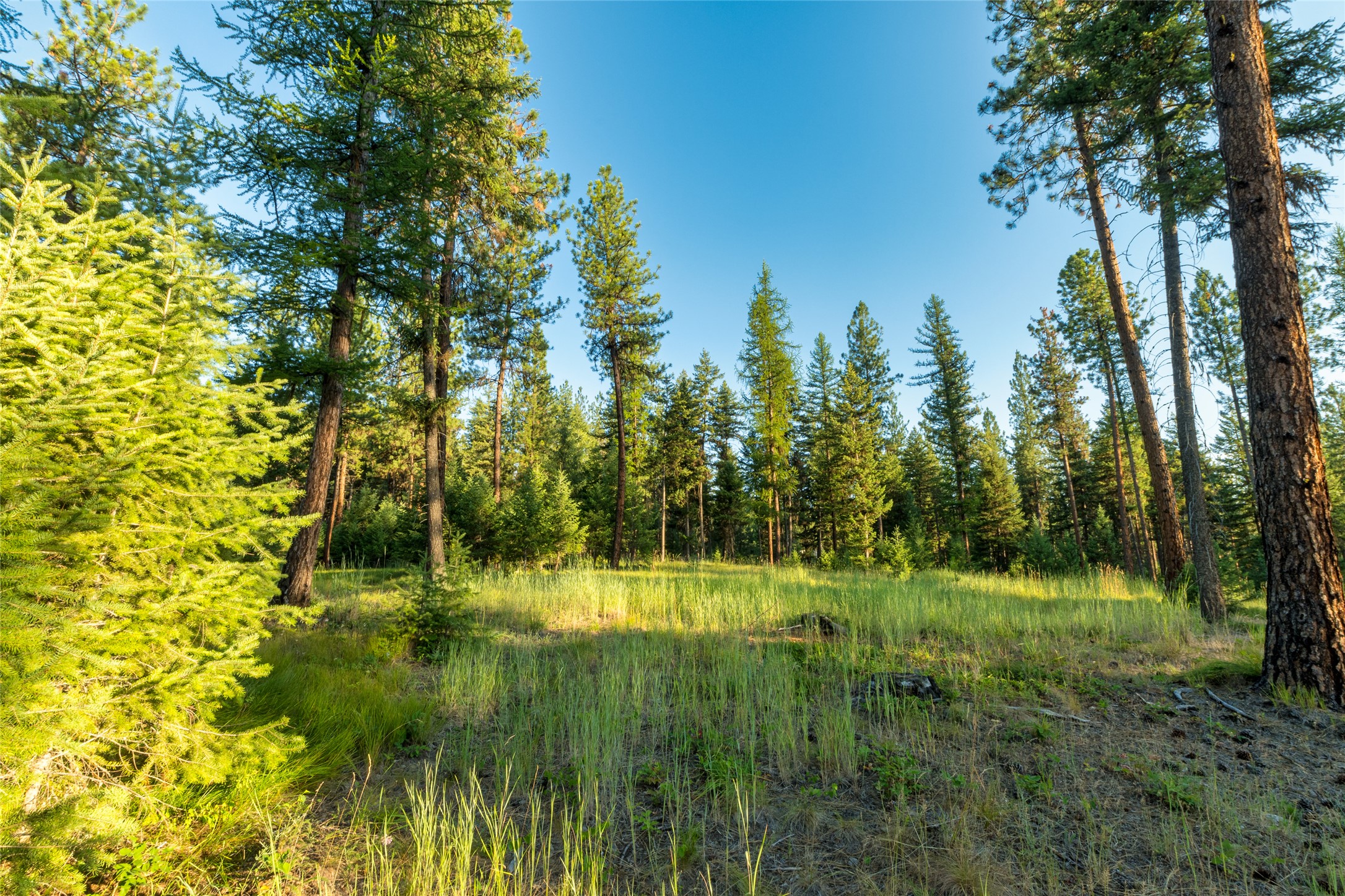 18 Baldy Mountain View Road