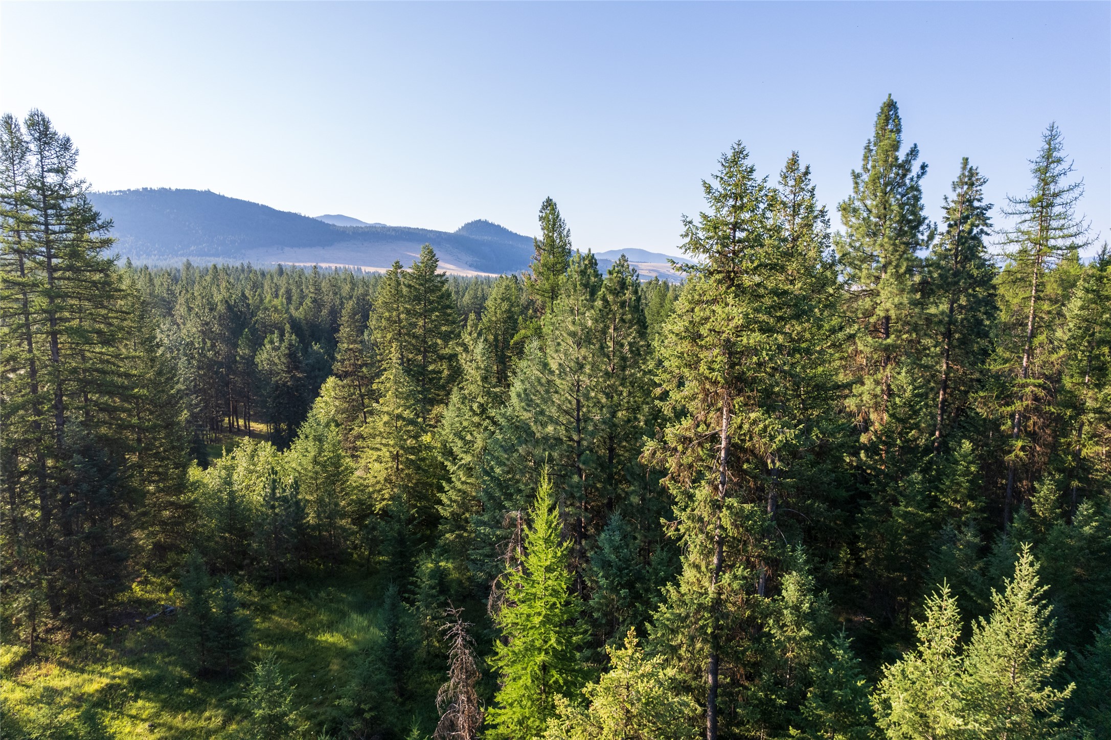 18 Baldy Mountain View Road