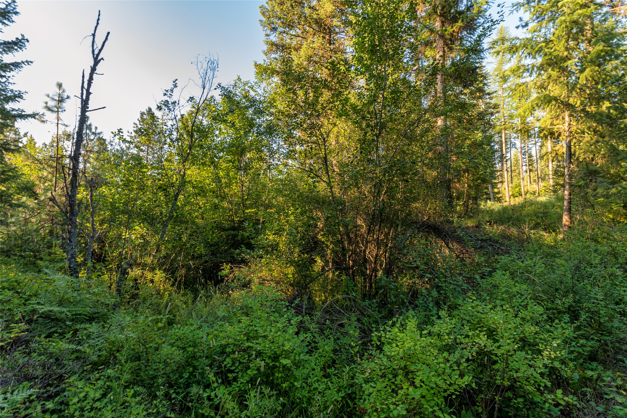 18 Baldy Mountain View Road