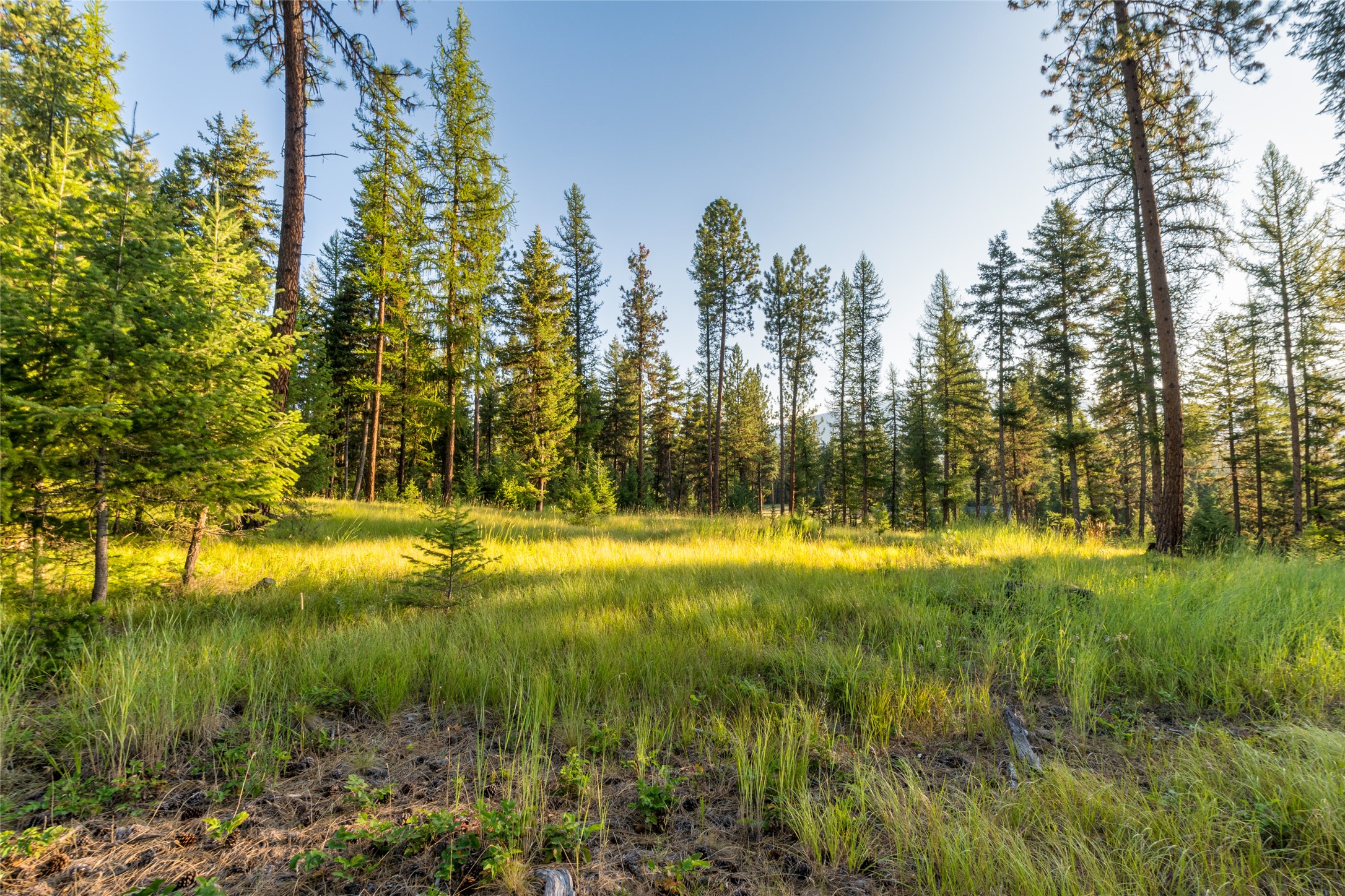 18 Baldy Mountain View Road