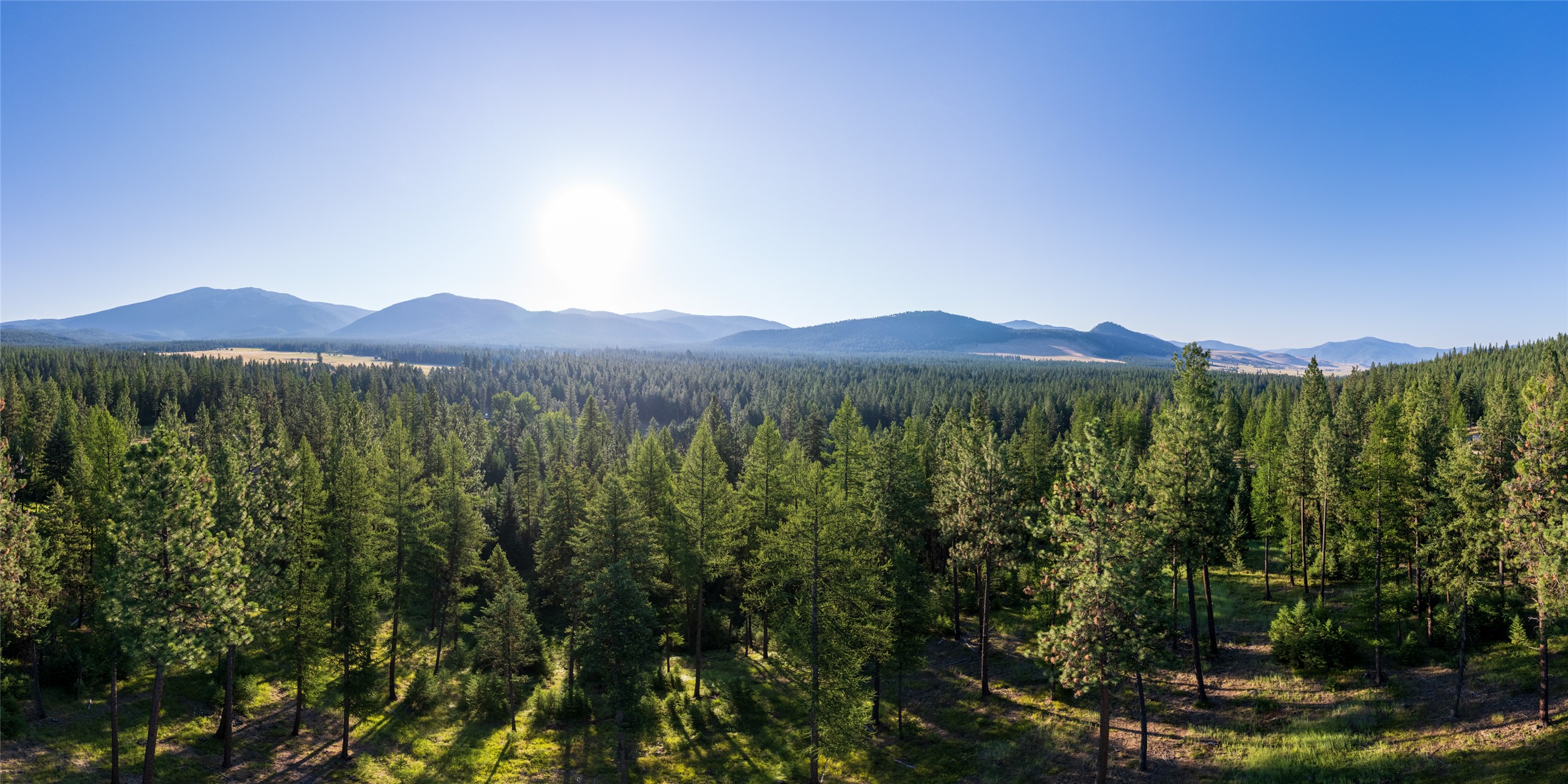 18 Baldy Mountain View Road
