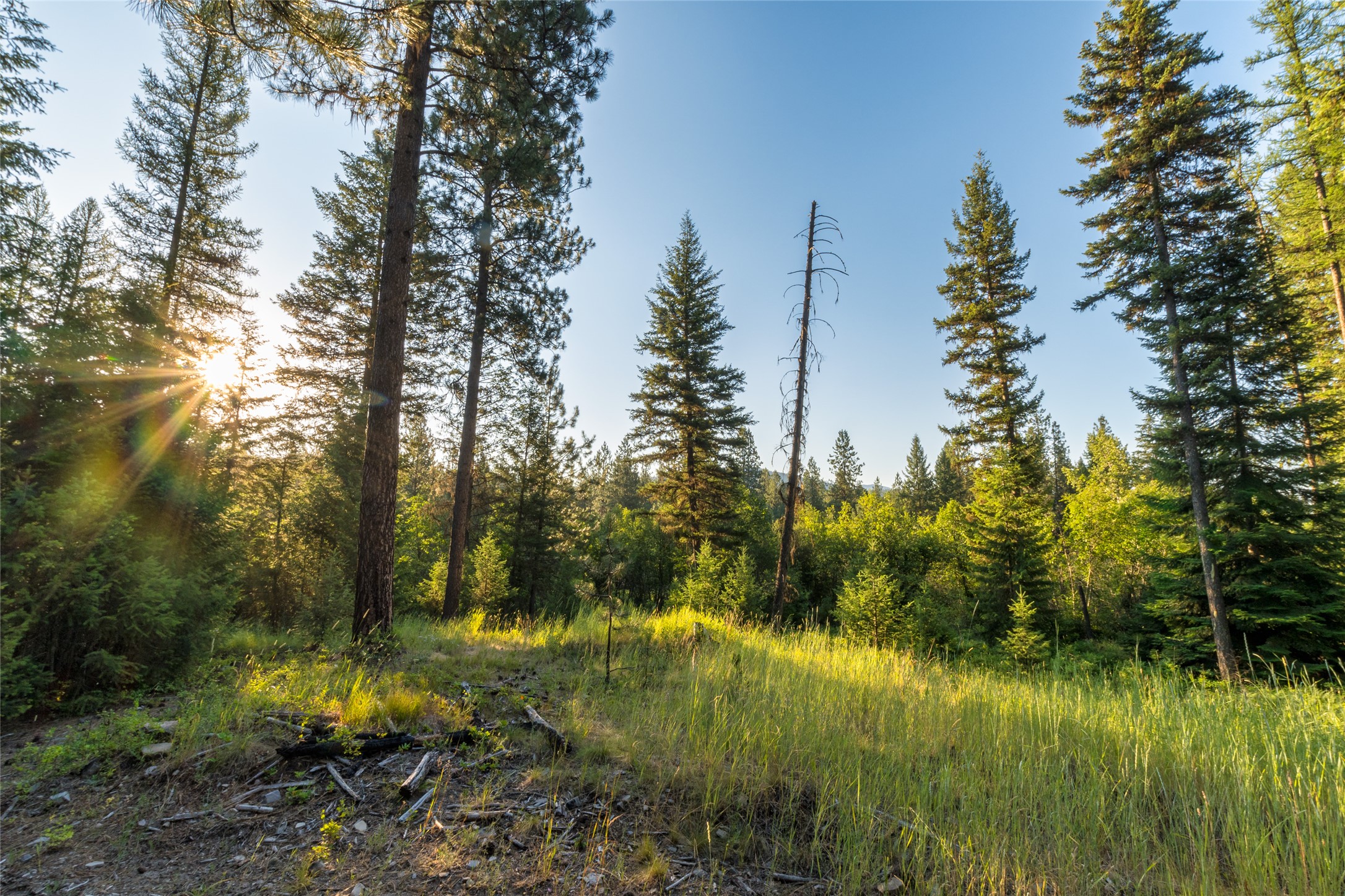 18 Baldy Mountain View Road