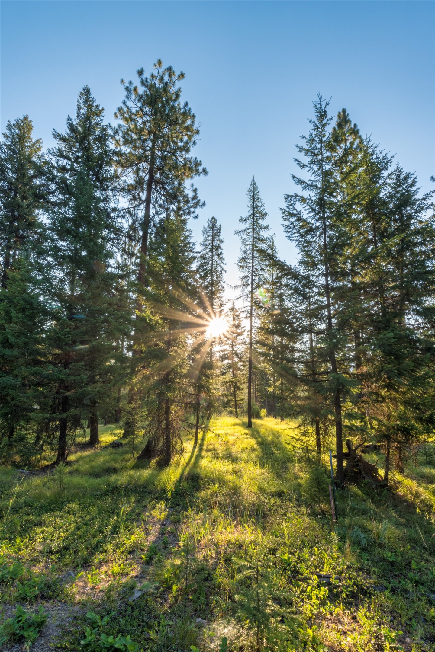 18 Baldy Mountain View Road