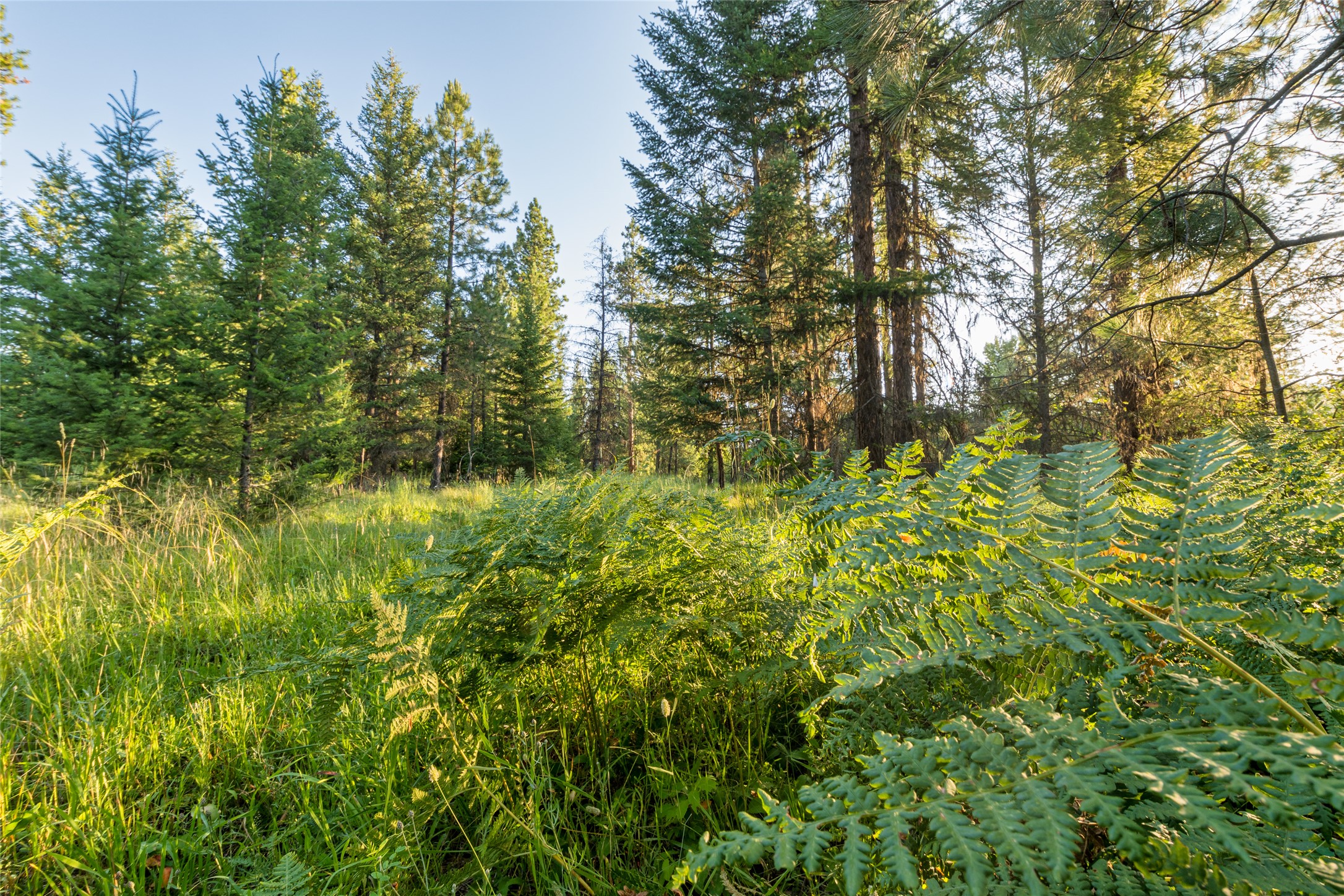 18 Baldy Mountain View Road