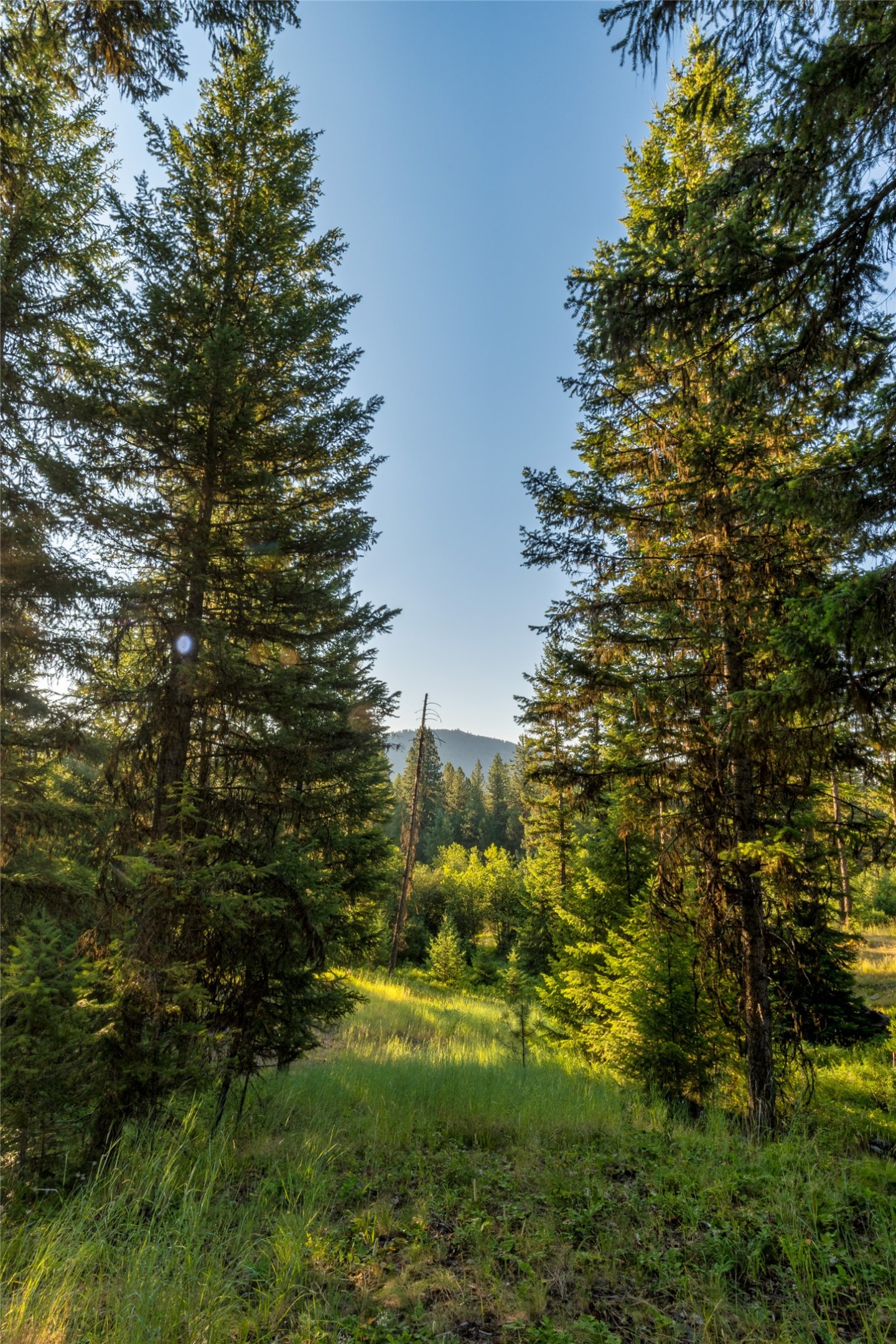 18 Baldy Mountain View Road