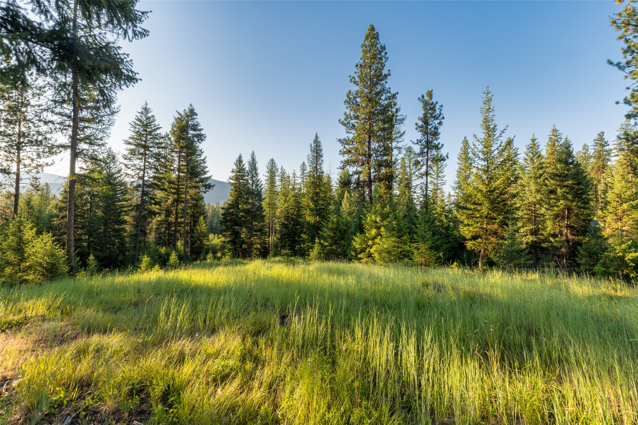 18 Baldy Mountain View Road