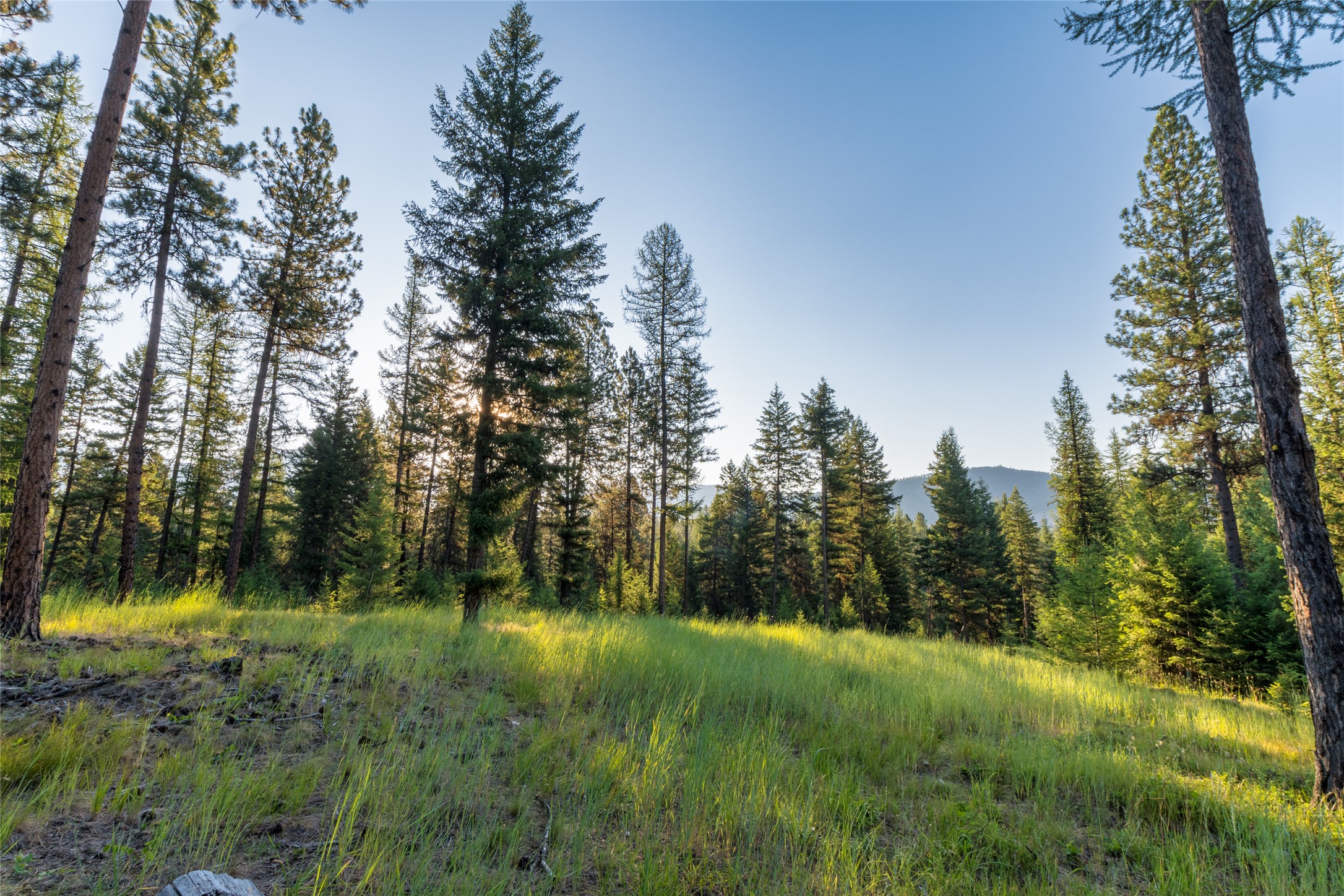 18 Baldy Mountain View Road