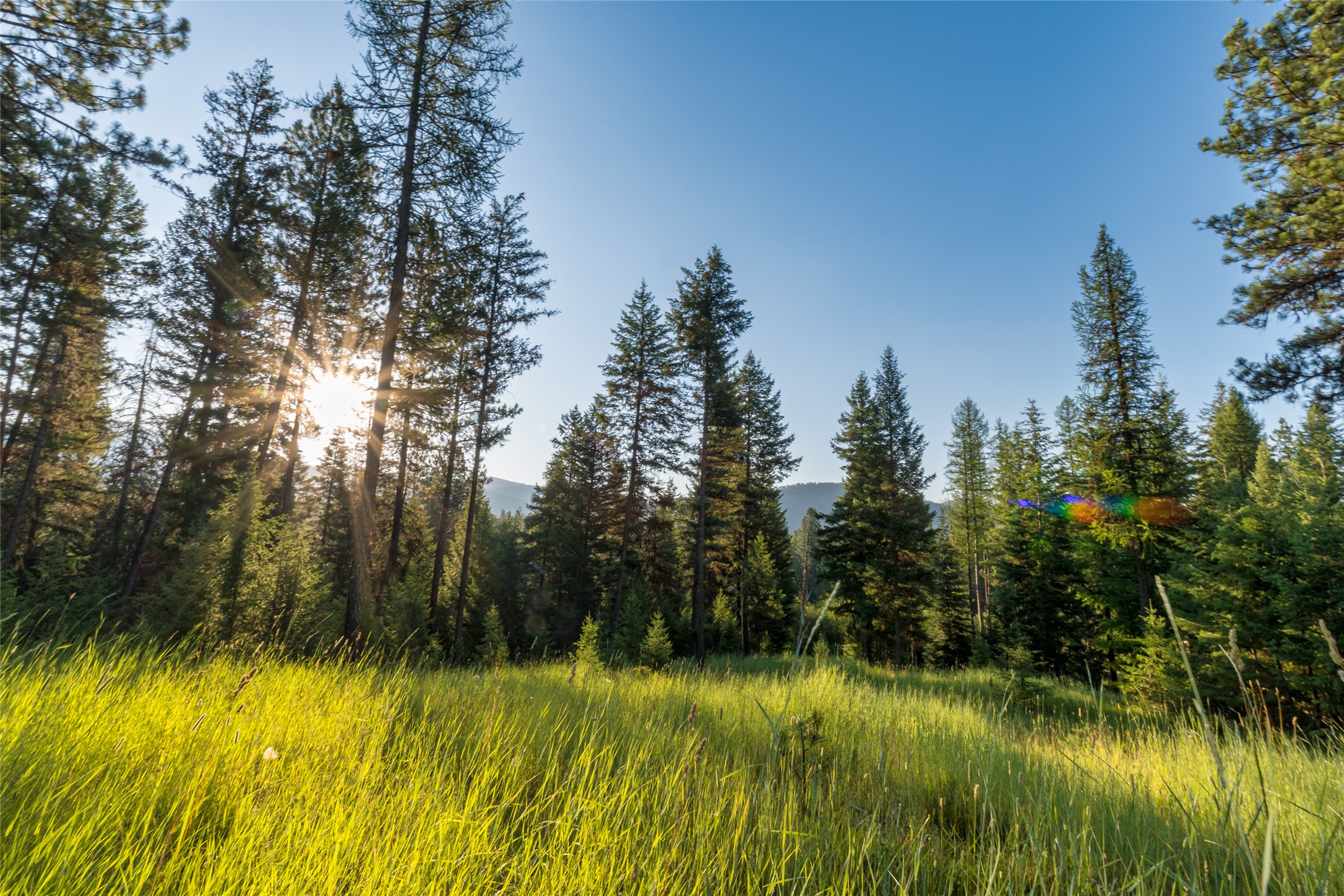 18 Baldy Mountain View Road