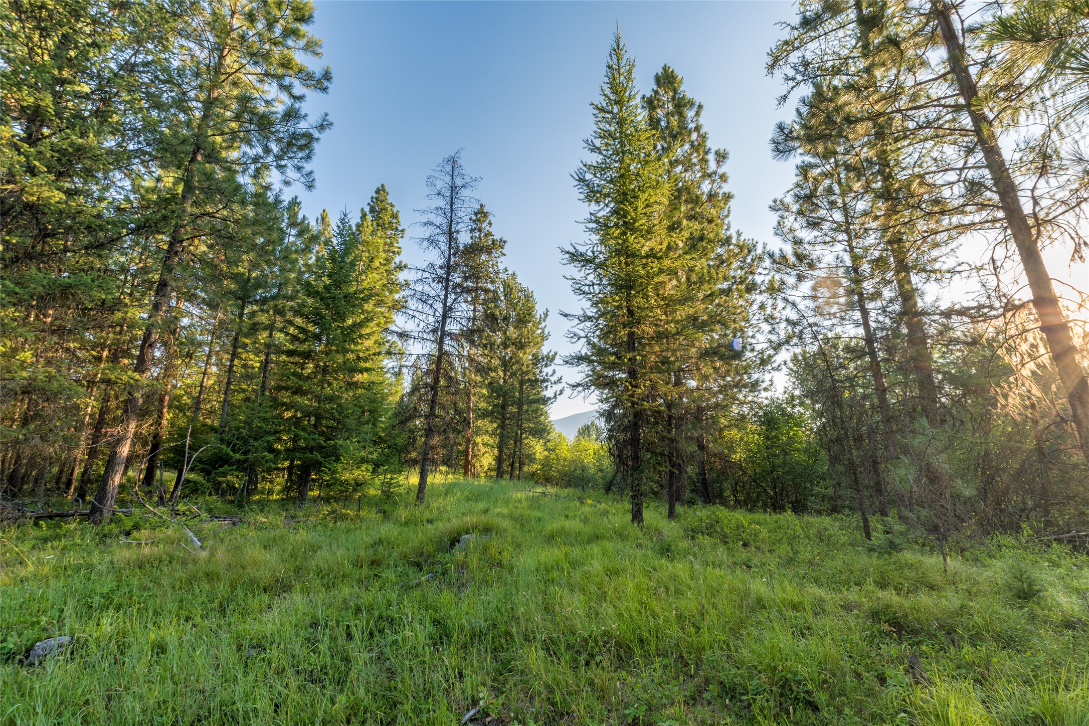 18 Baldy Mountain View Road