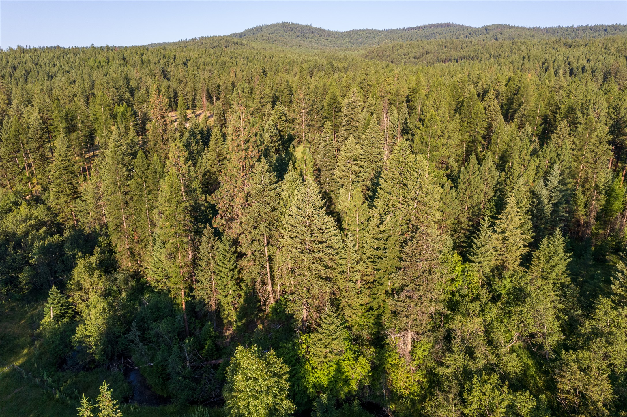 18 Baldy Mountain View Road