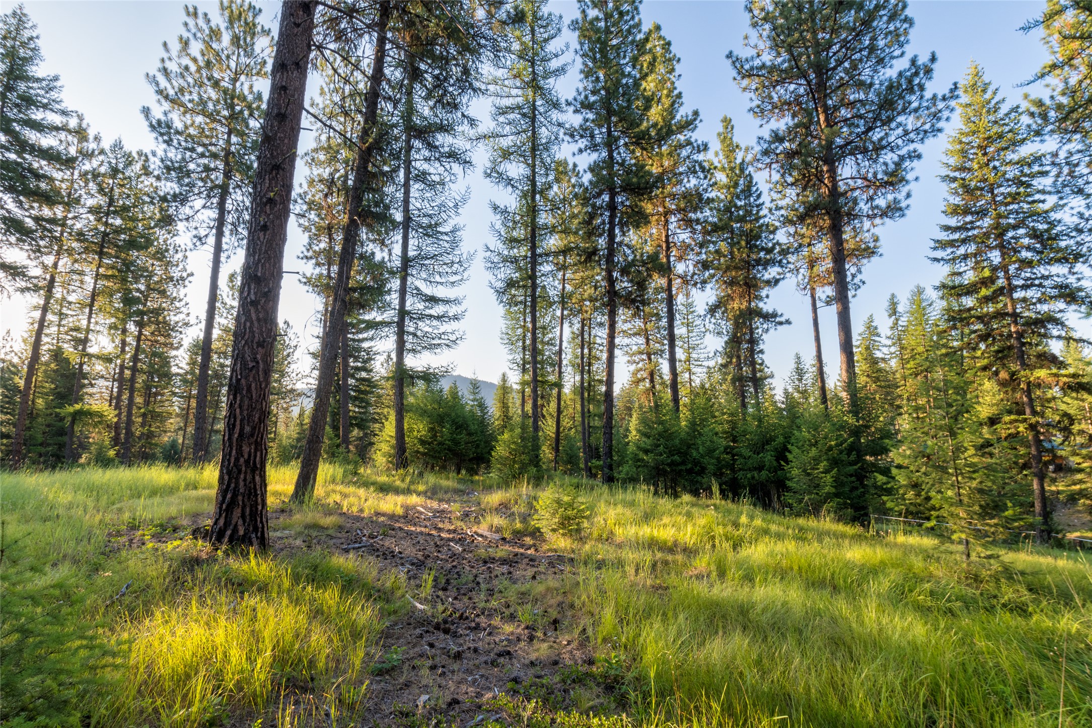 18 Baldy Mountain View Road