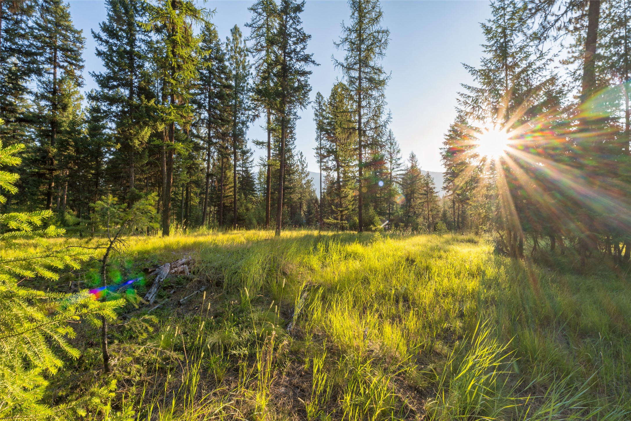 18 Baldy Mountain View Road