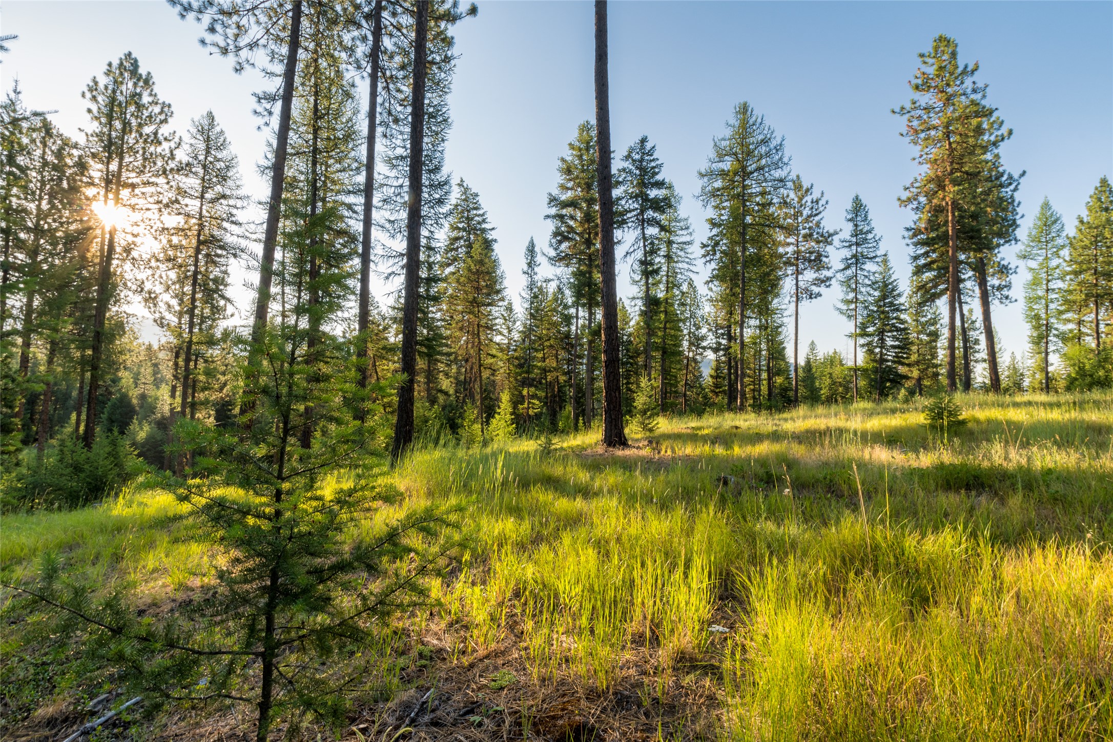 18 Baldy Mountain View Road