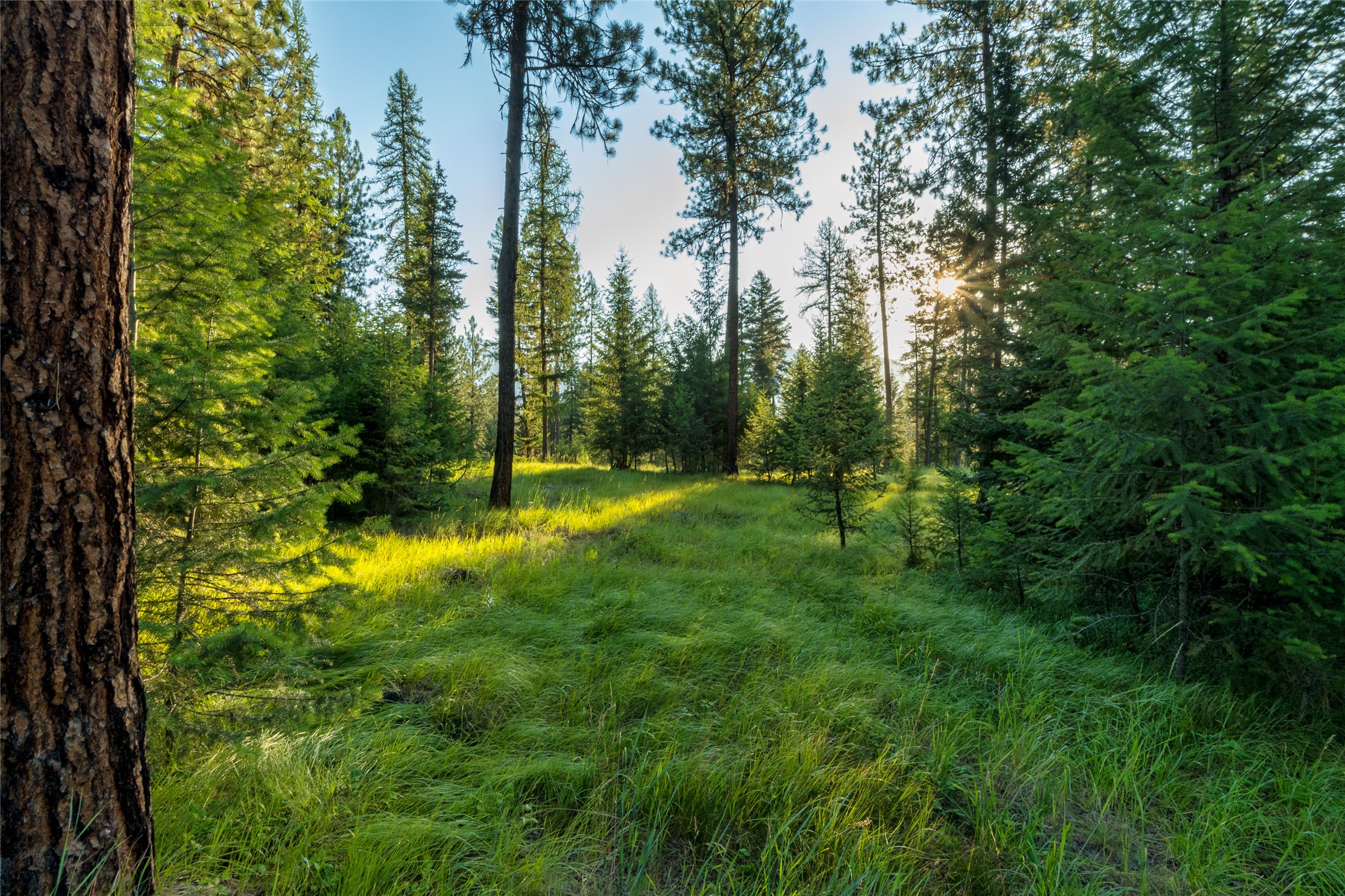 18 Baldy Mountain View Road