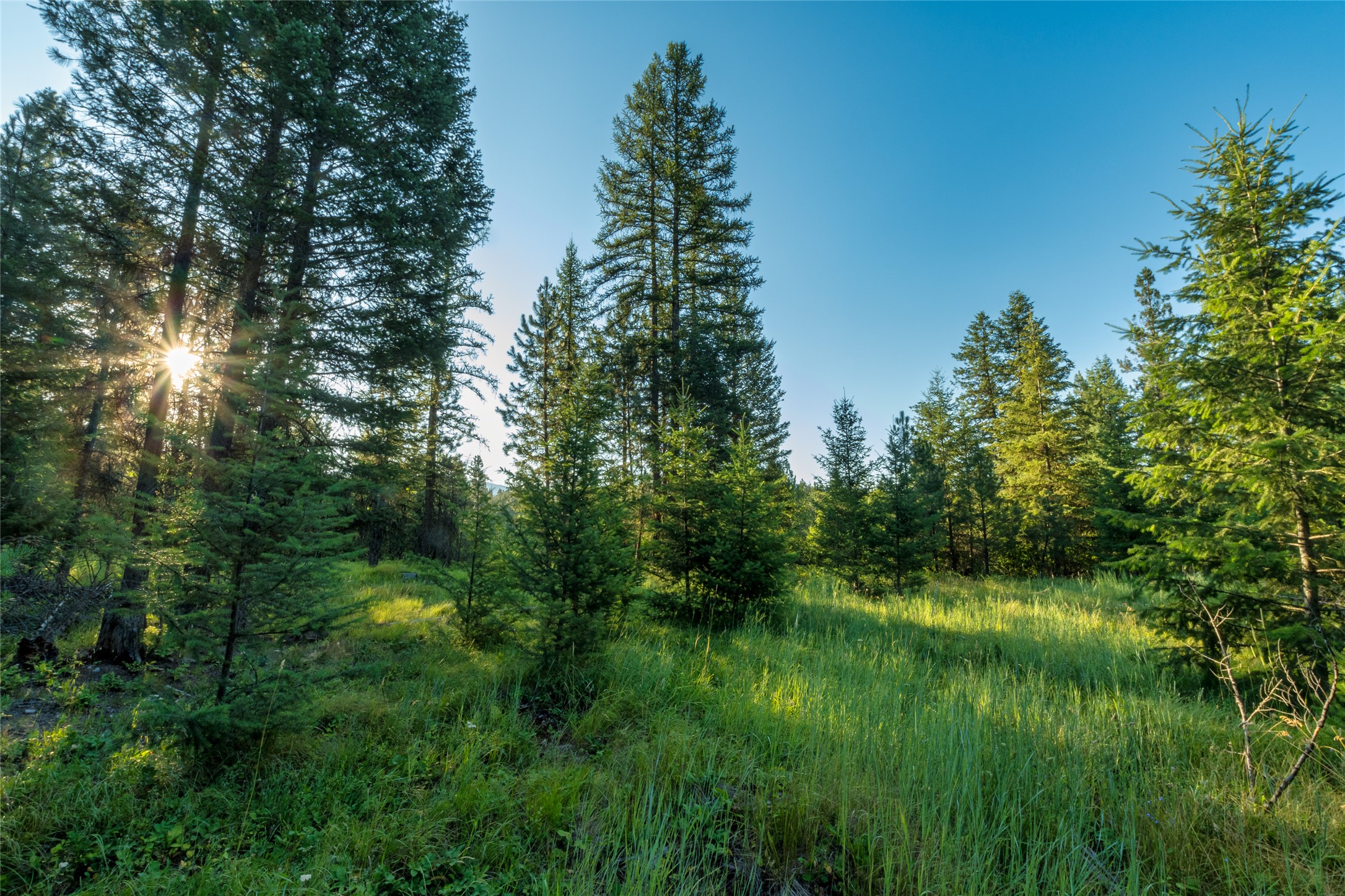 18 Baldy Mountain View Road