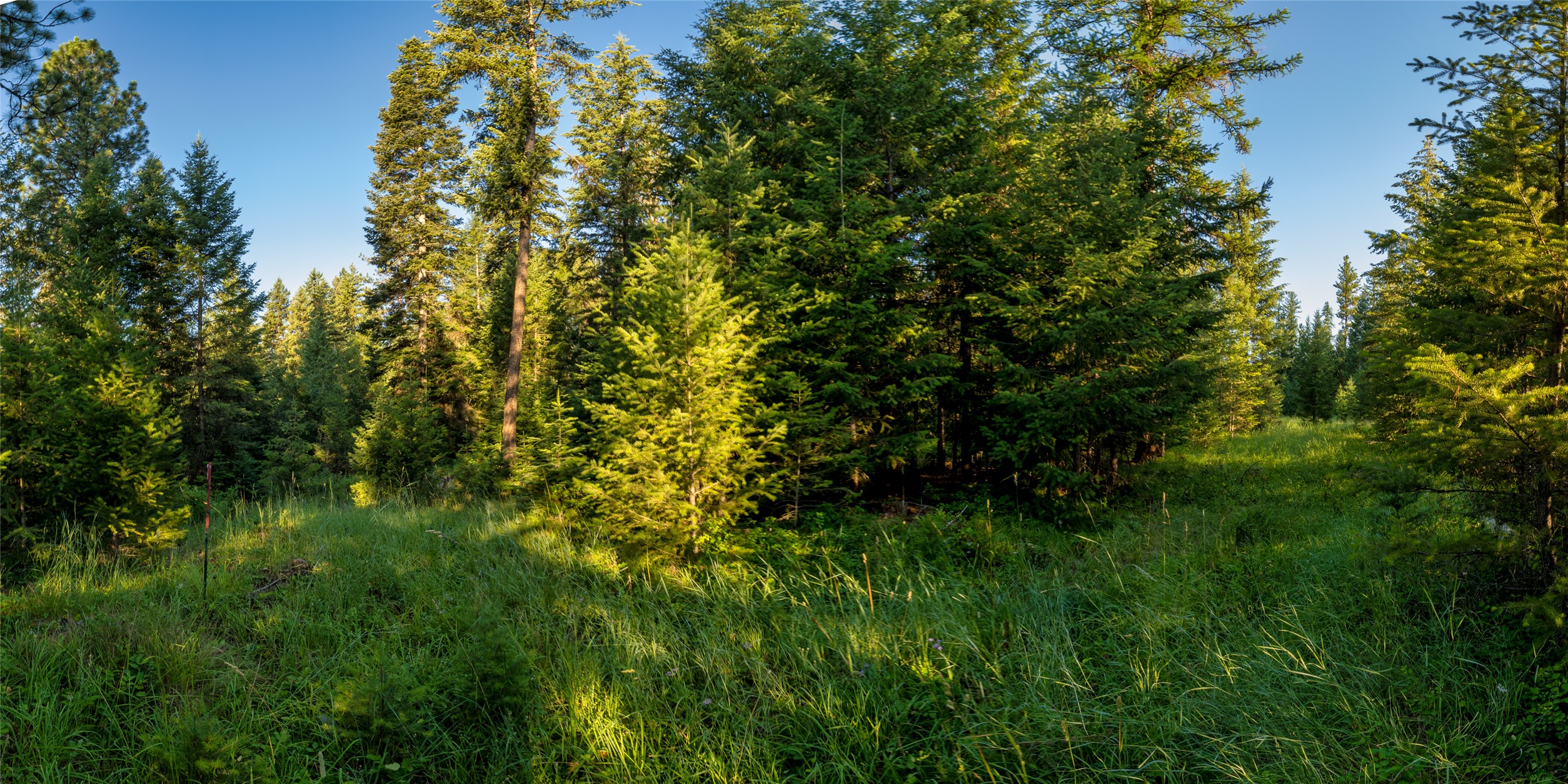 18 Baldy Mountain View Road