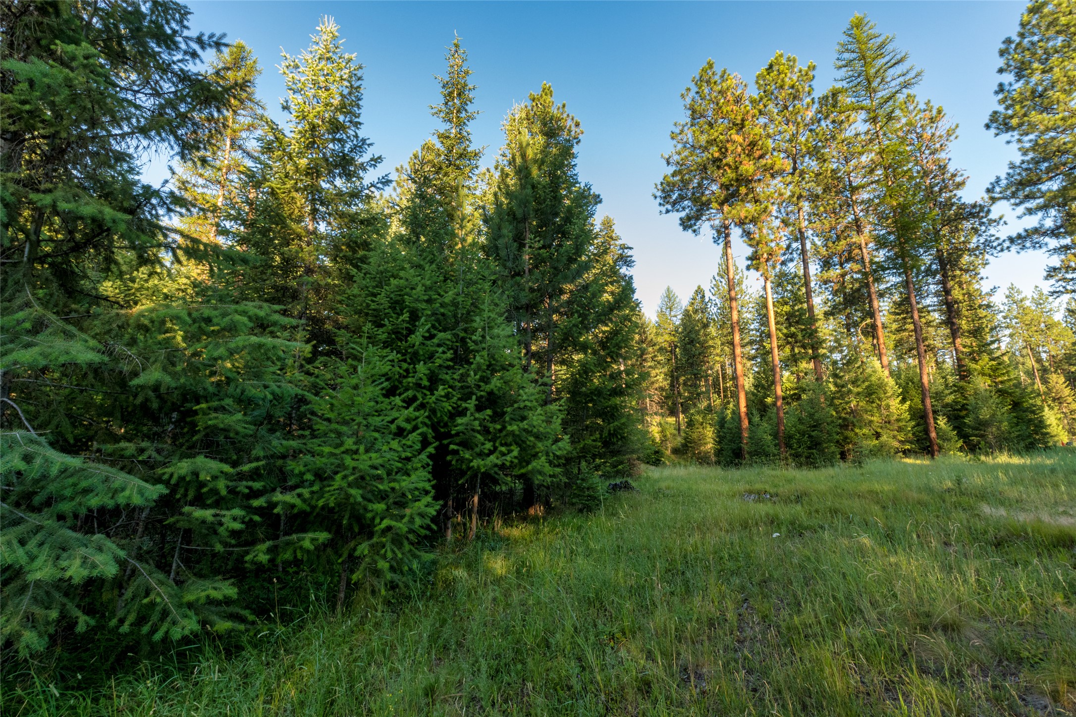 18 Baldy Mountain View Road