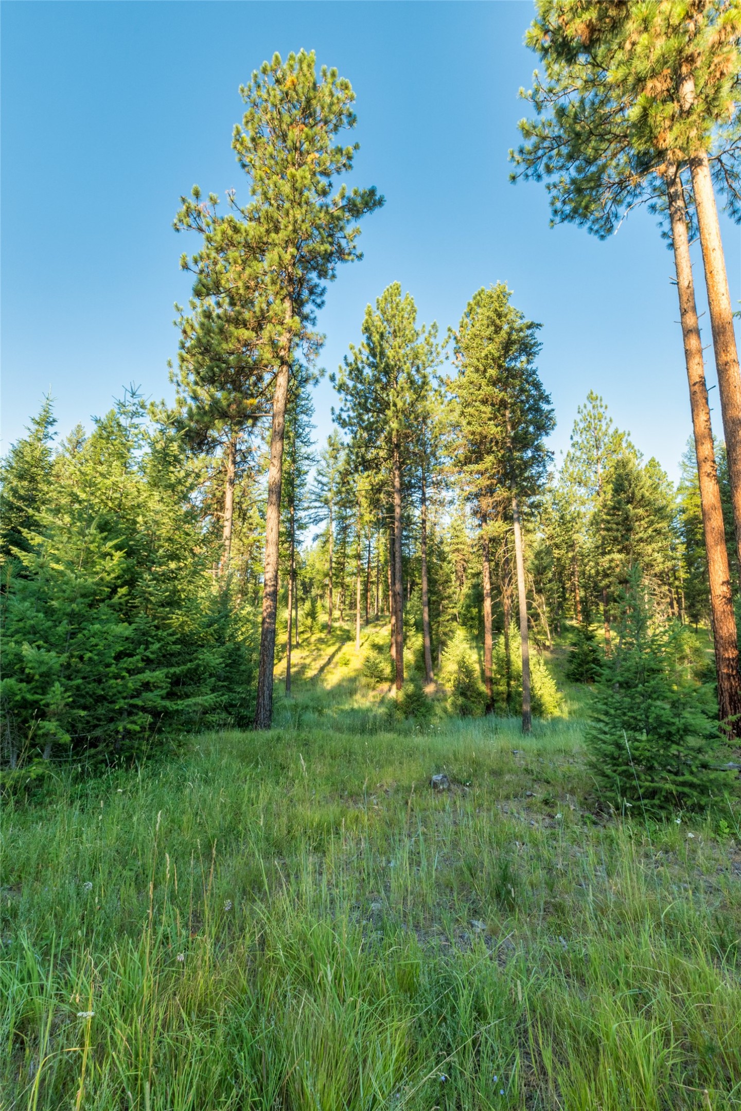 18 Baldy Mountain View Road