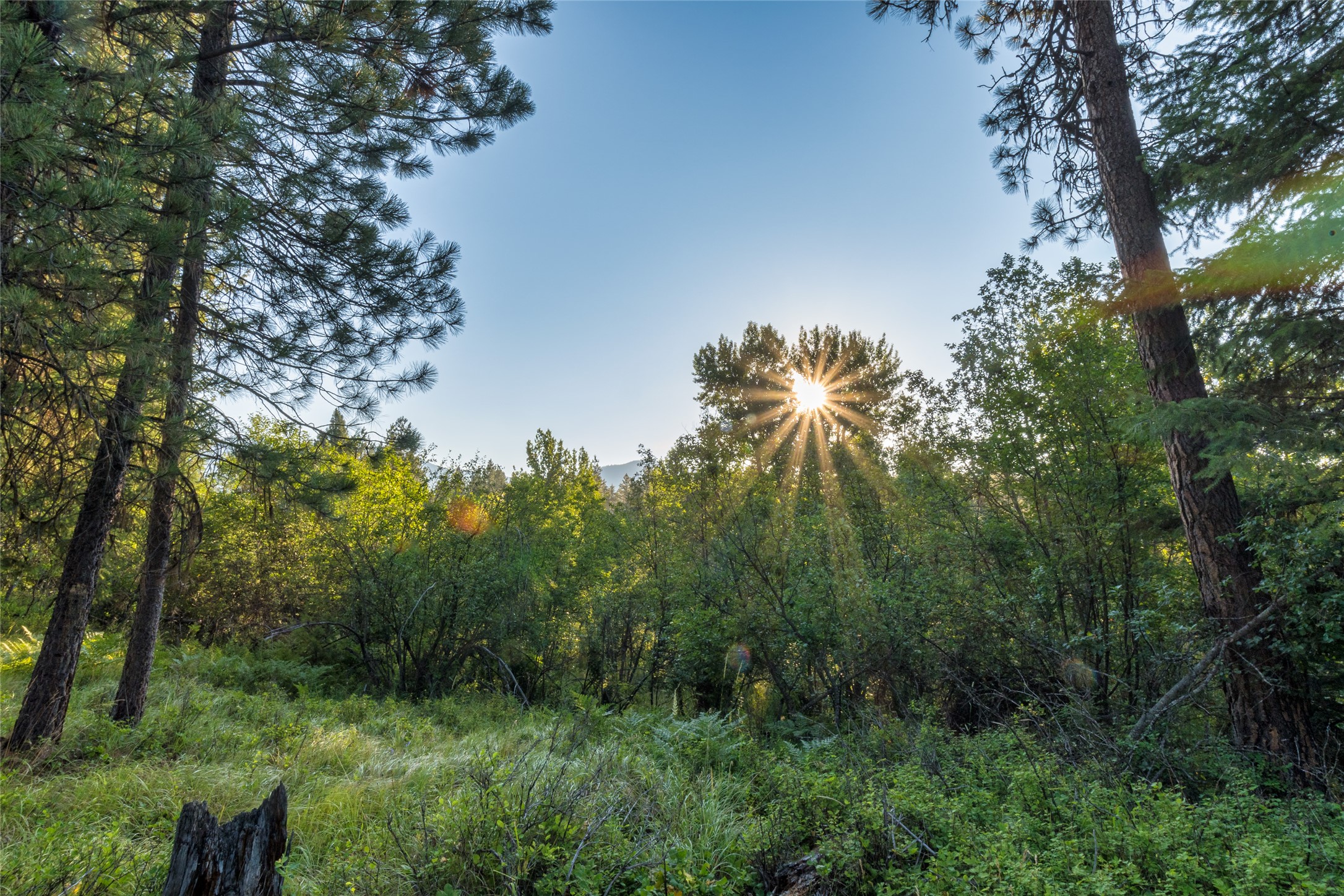 18 Baldy Mountain View Road