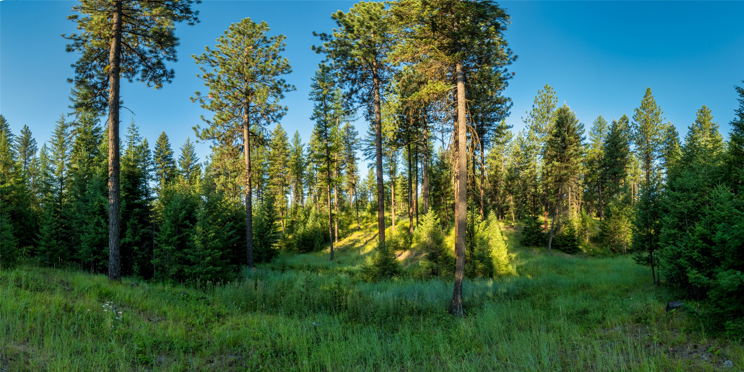 18 Baldy Mountain View Road