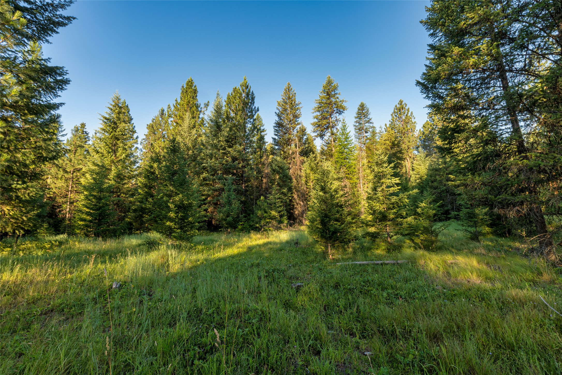 18 Baldy Mountain View Road