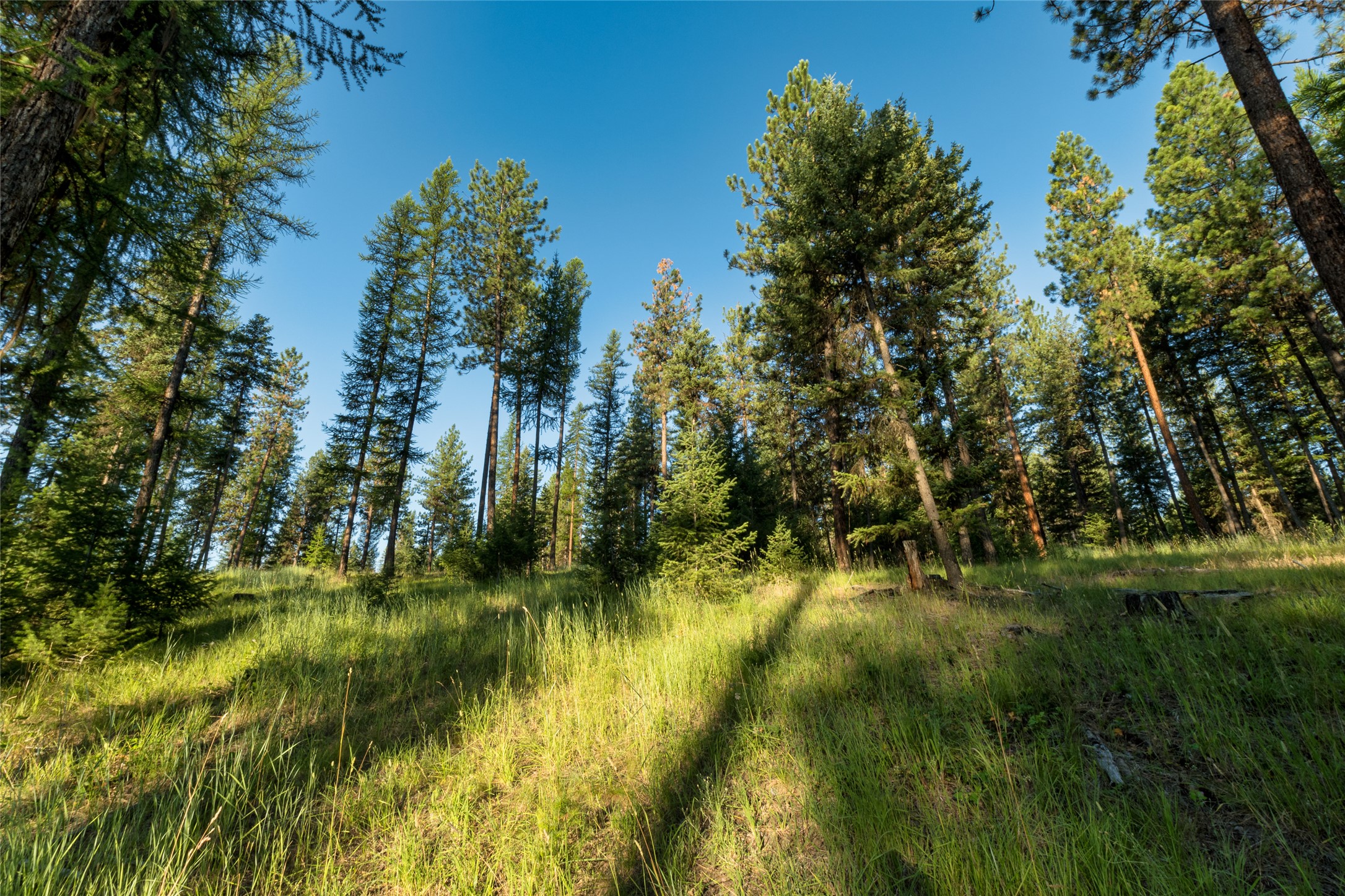 18 Baldy Mountain View Road