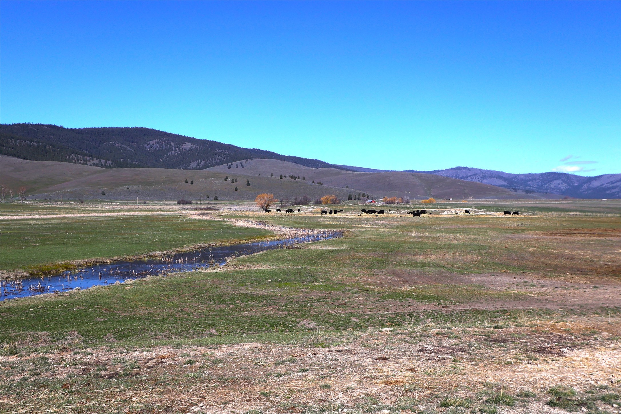 150 Patton Road Lower Level