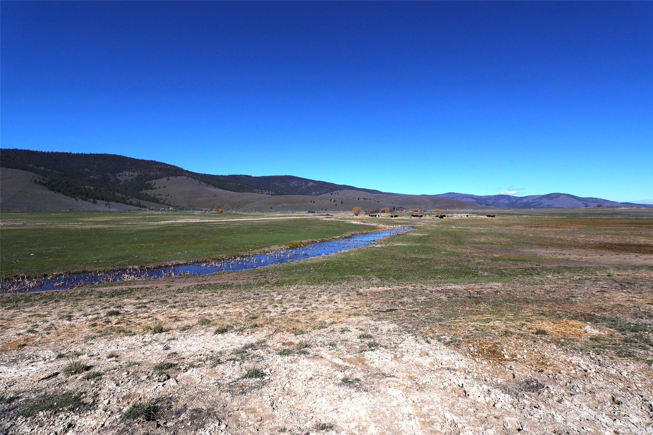 150 Patton Road Lower Level