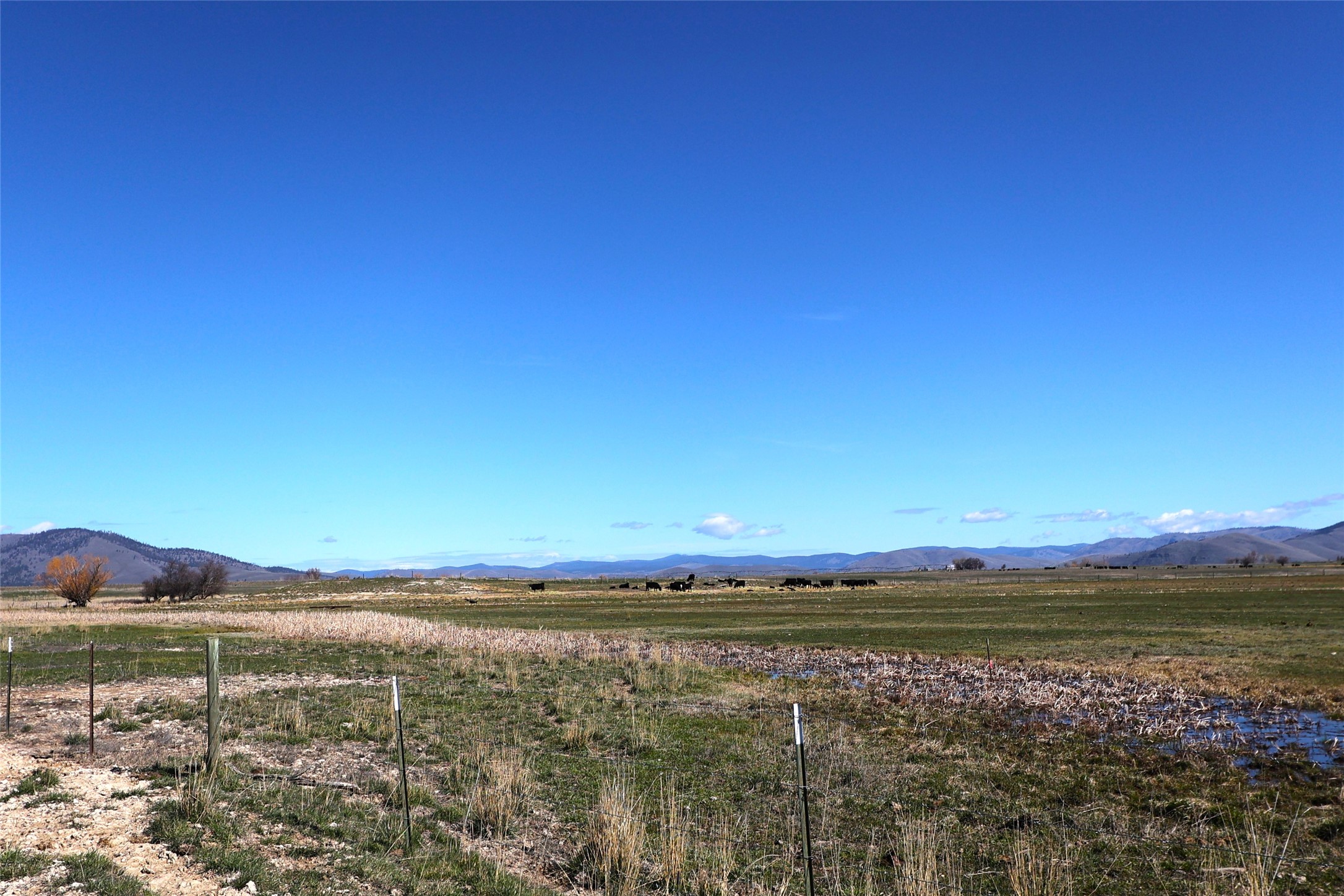 150 Patton Road Lower Level