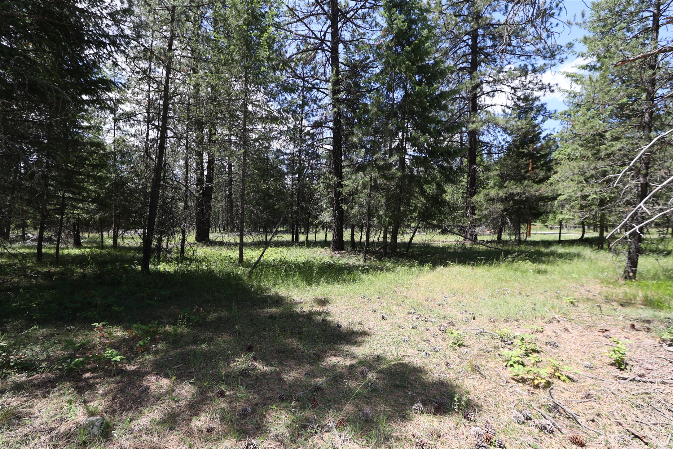 NHN Lot 6 Graves Creek Road