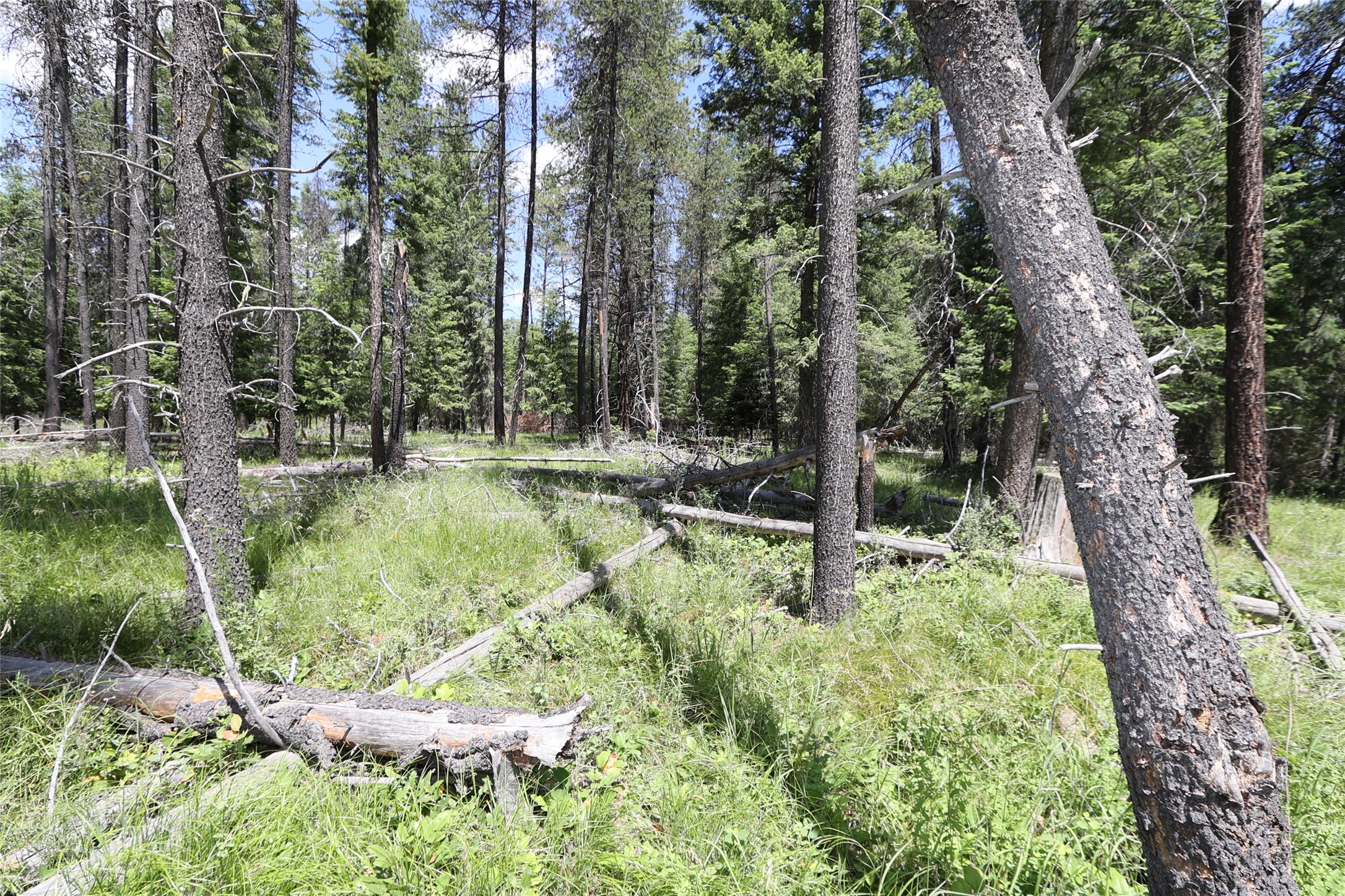 NHN Lot 6 Graves Creek Road