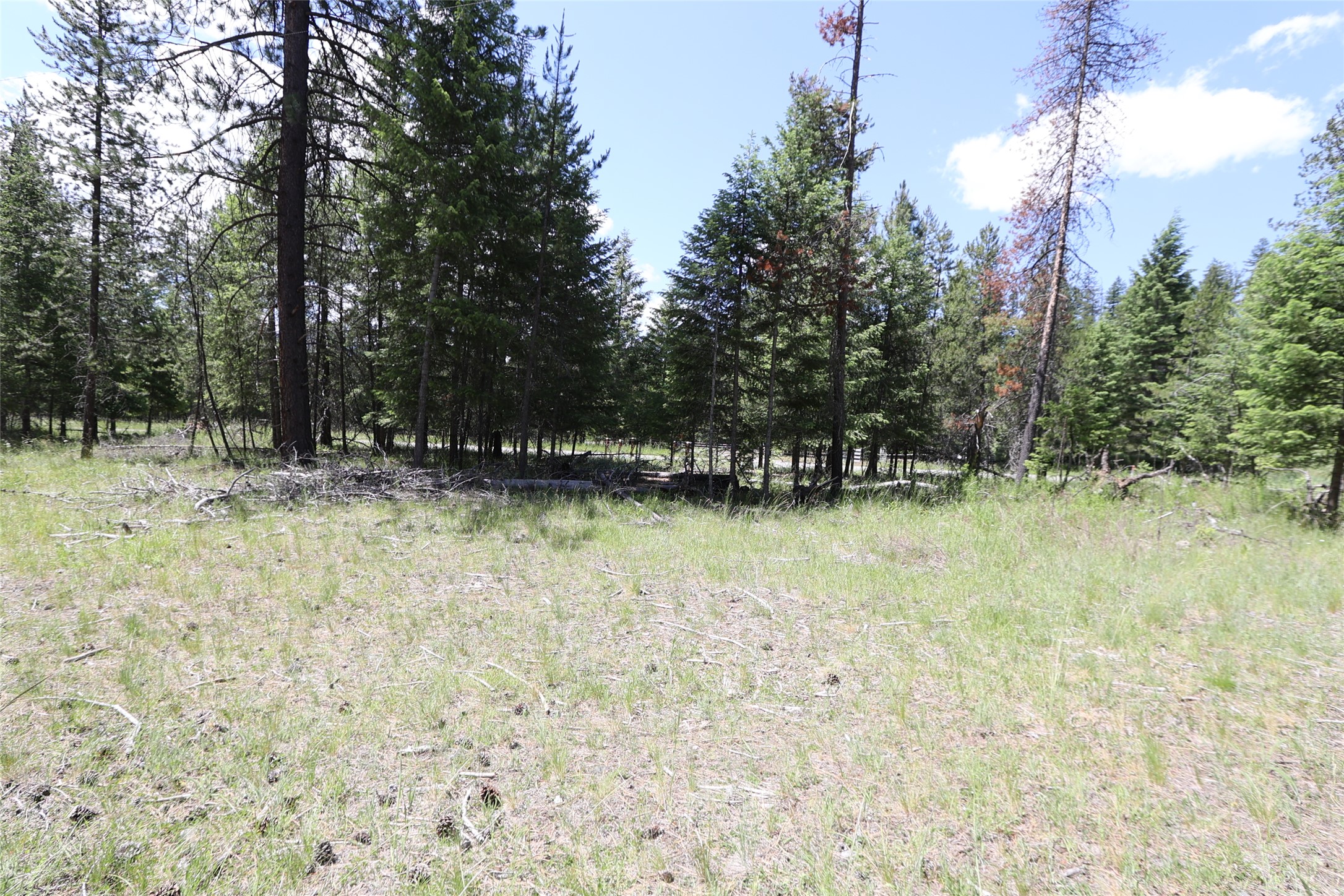 NHN Lot 6 Graves Creek Road