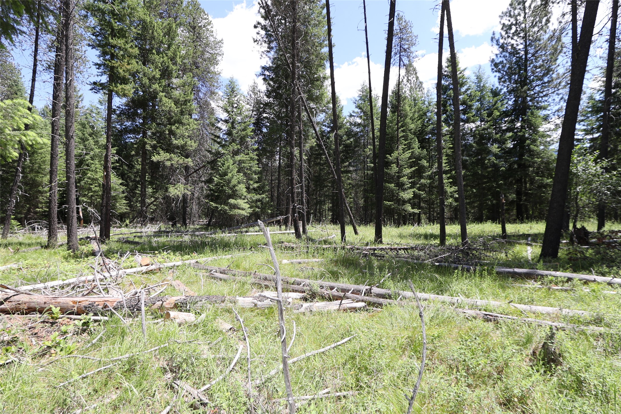 NHN Lot 6 Graves Creek Road