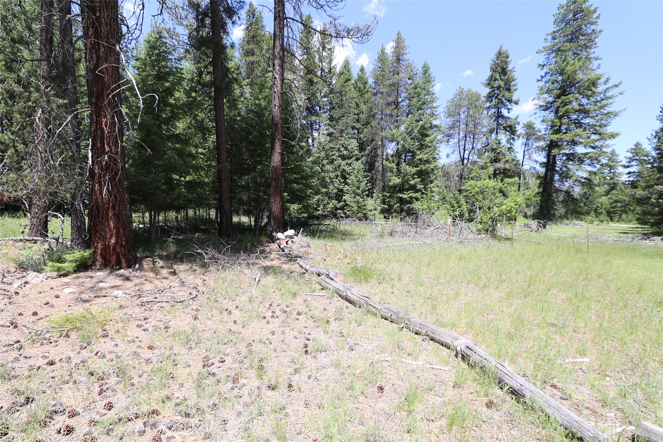 NHN Lot 6 Graves Creek Road