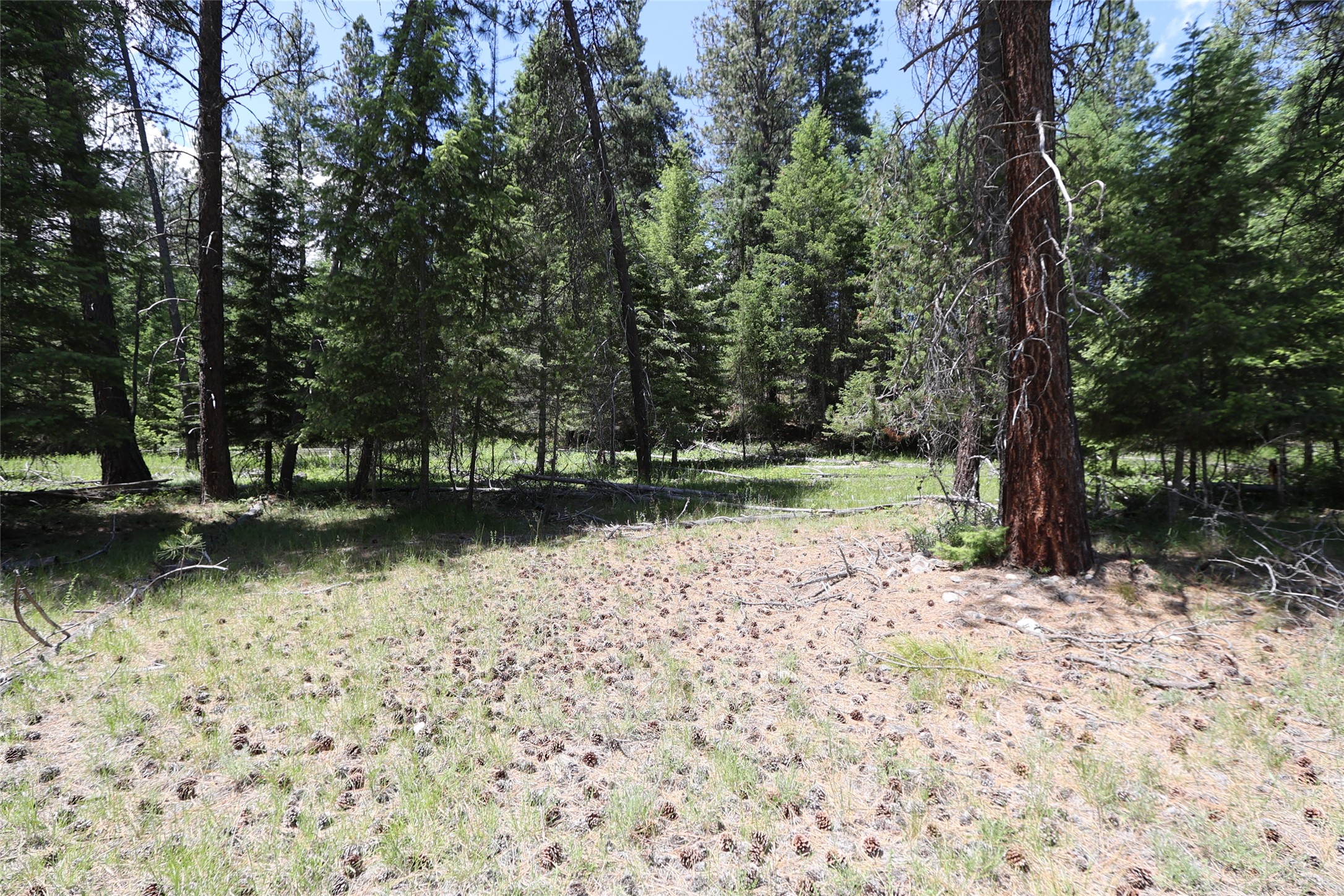 NHN Lot 6 Graves Creek Road