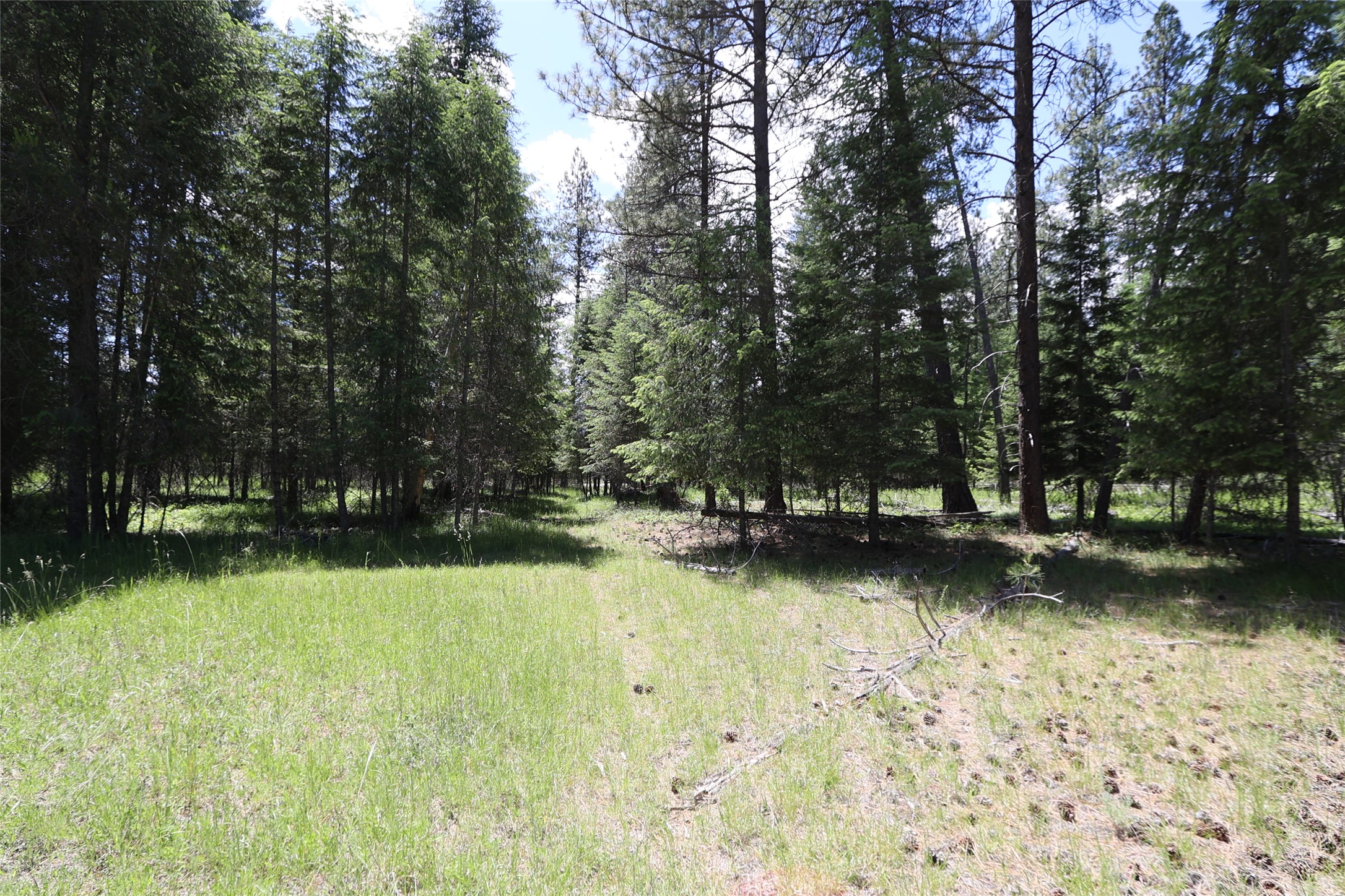 NHN Lot 6 Graves Creek Road