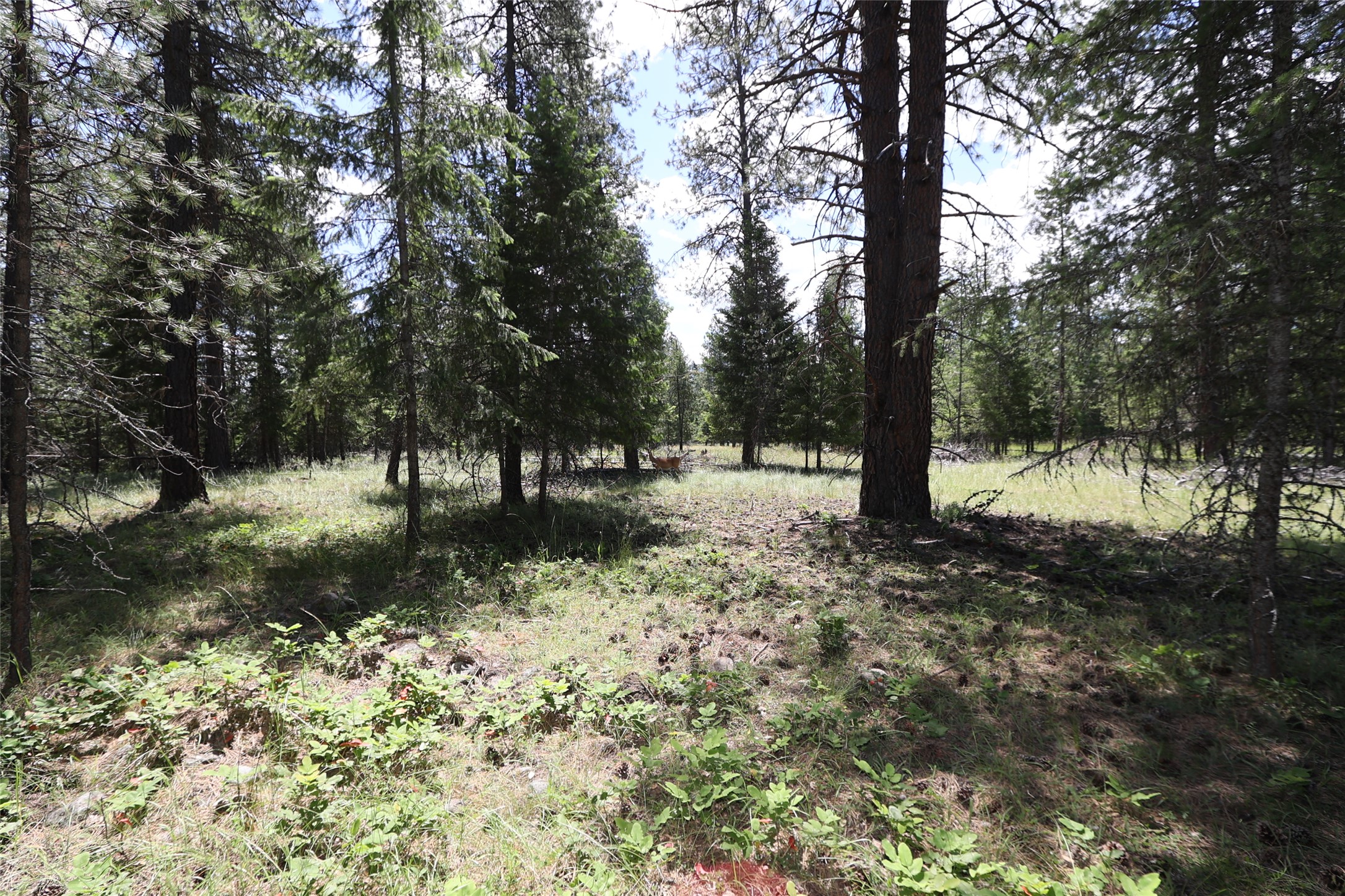 NHN Lot 6 Graves Creek Road