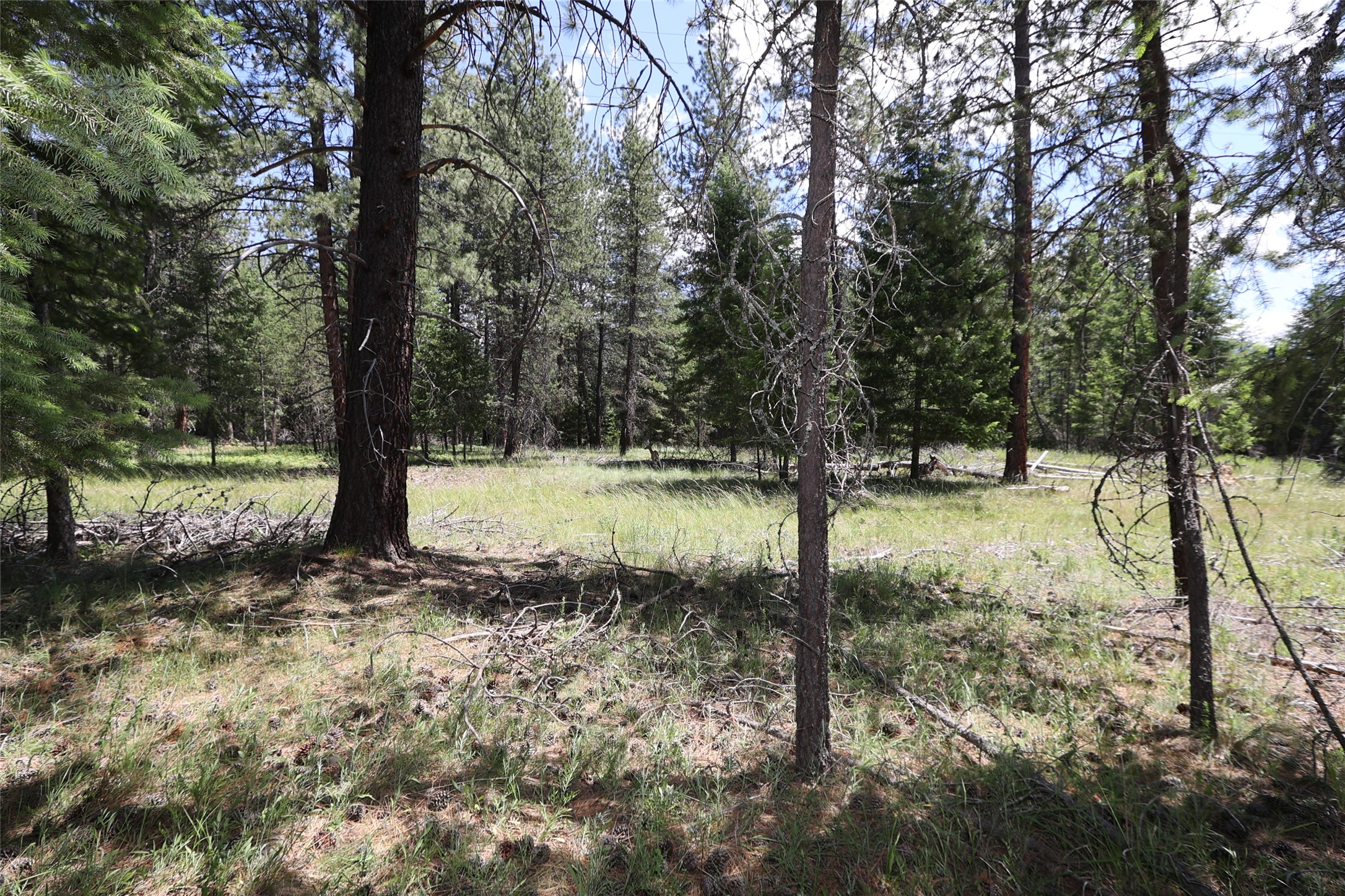 NHN Lot 6 Graves Creek Road