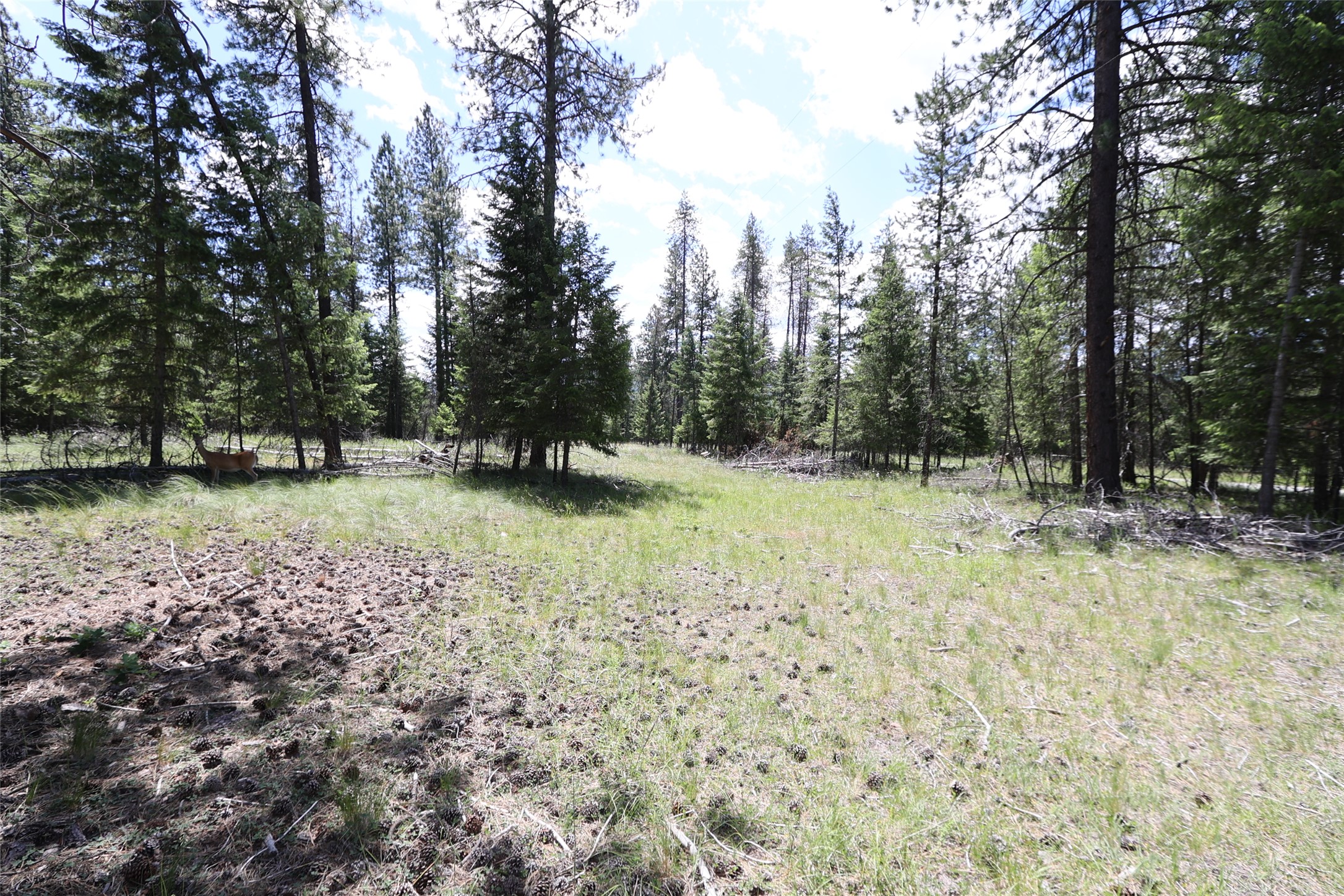 NHN Lot 6 Graves Creek Road