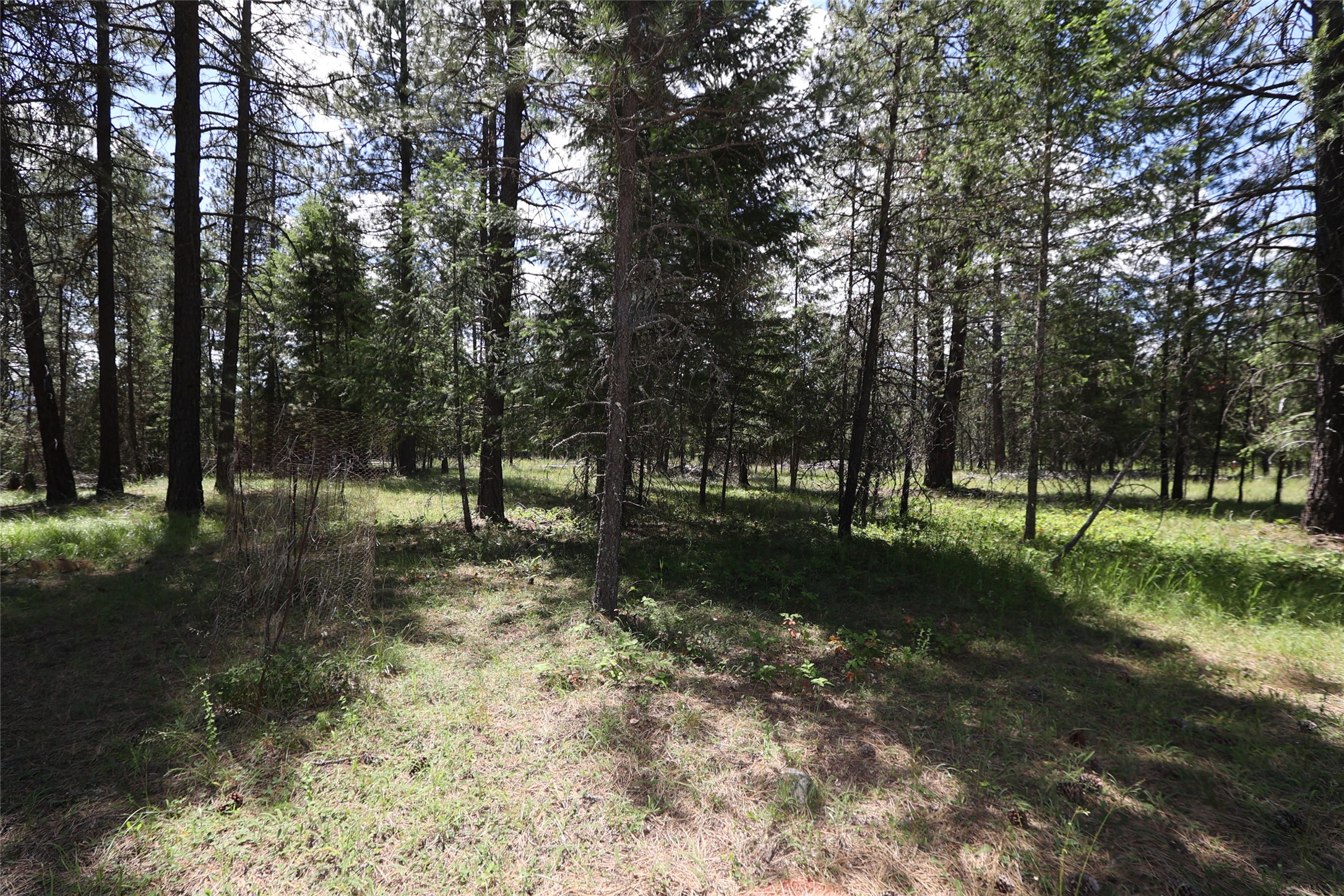 NHN Lot 6 Graves Creek Road