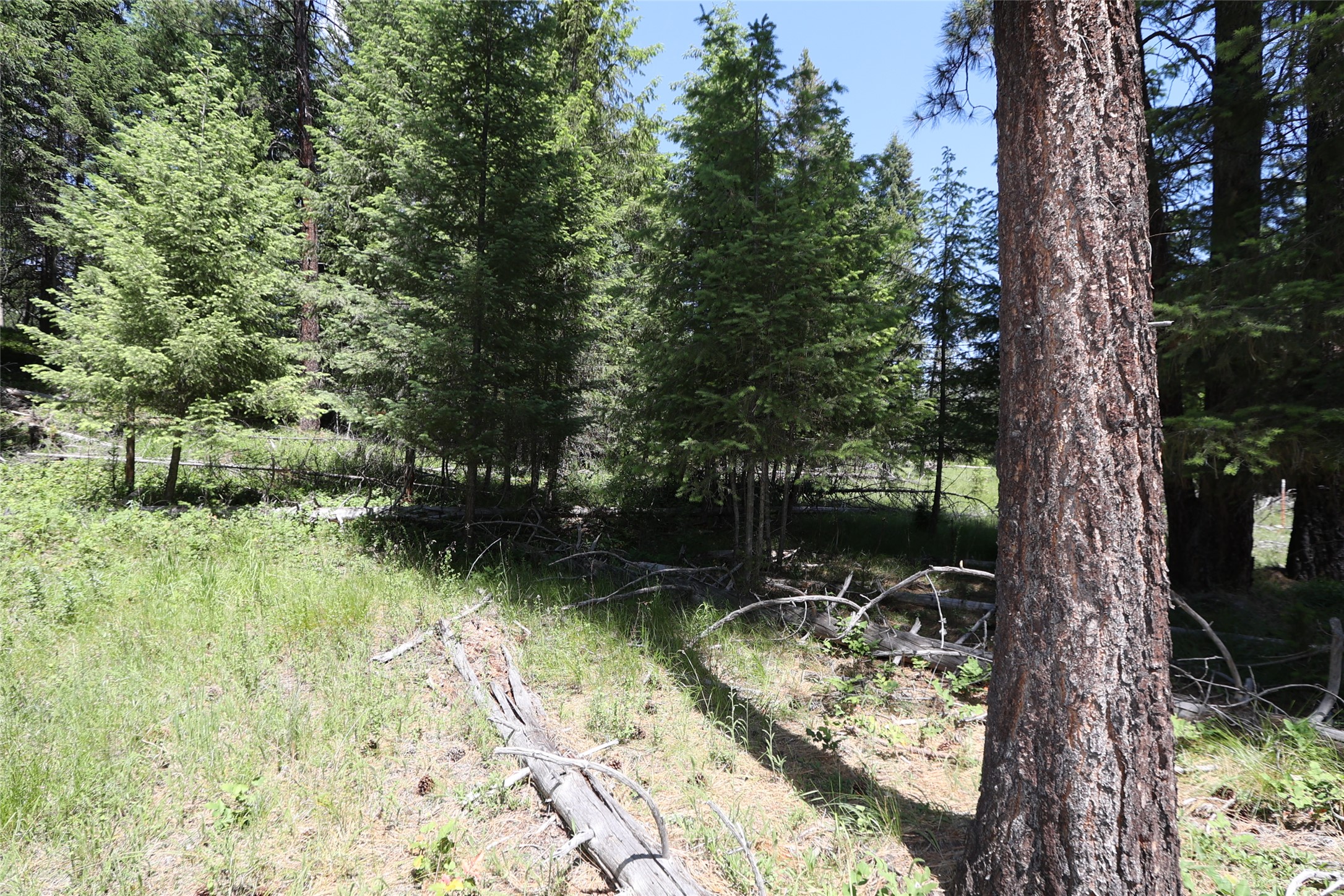 NHN Lot 6 Graves Creek Road