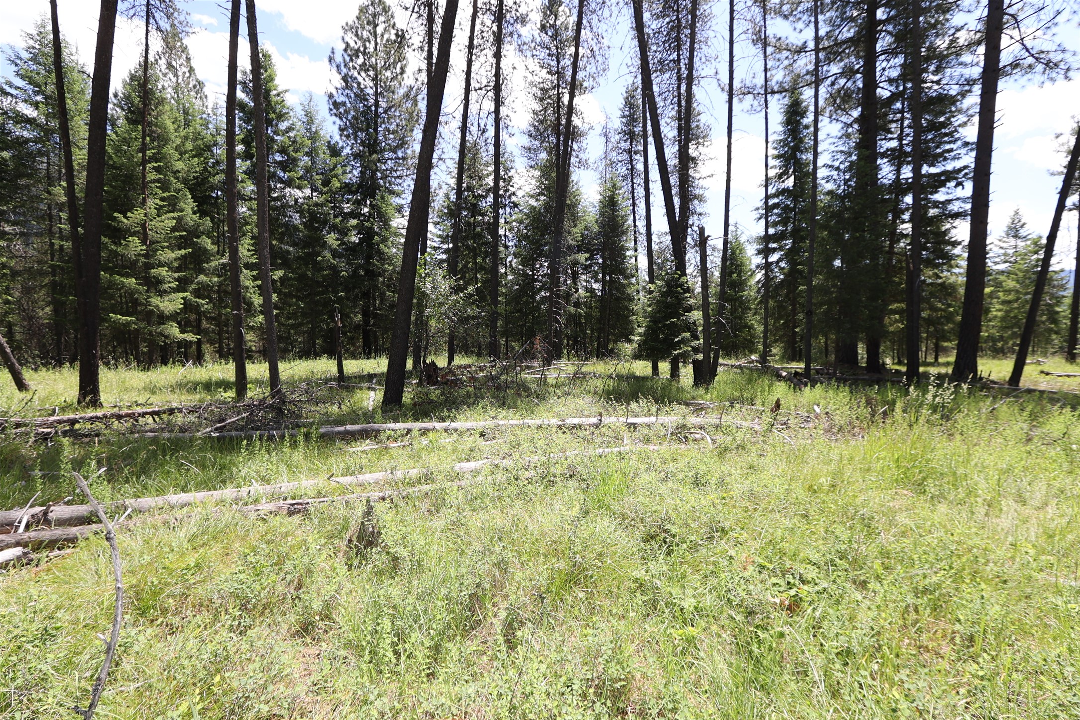 NHN Lot 6 Graves Creek Road