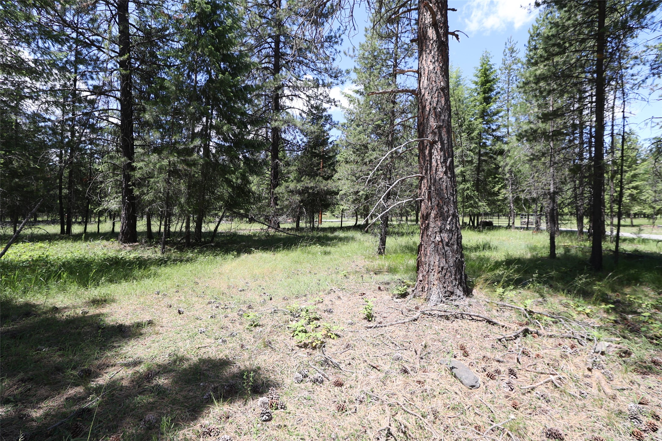 NHN Lot 6 Graves Creek Road