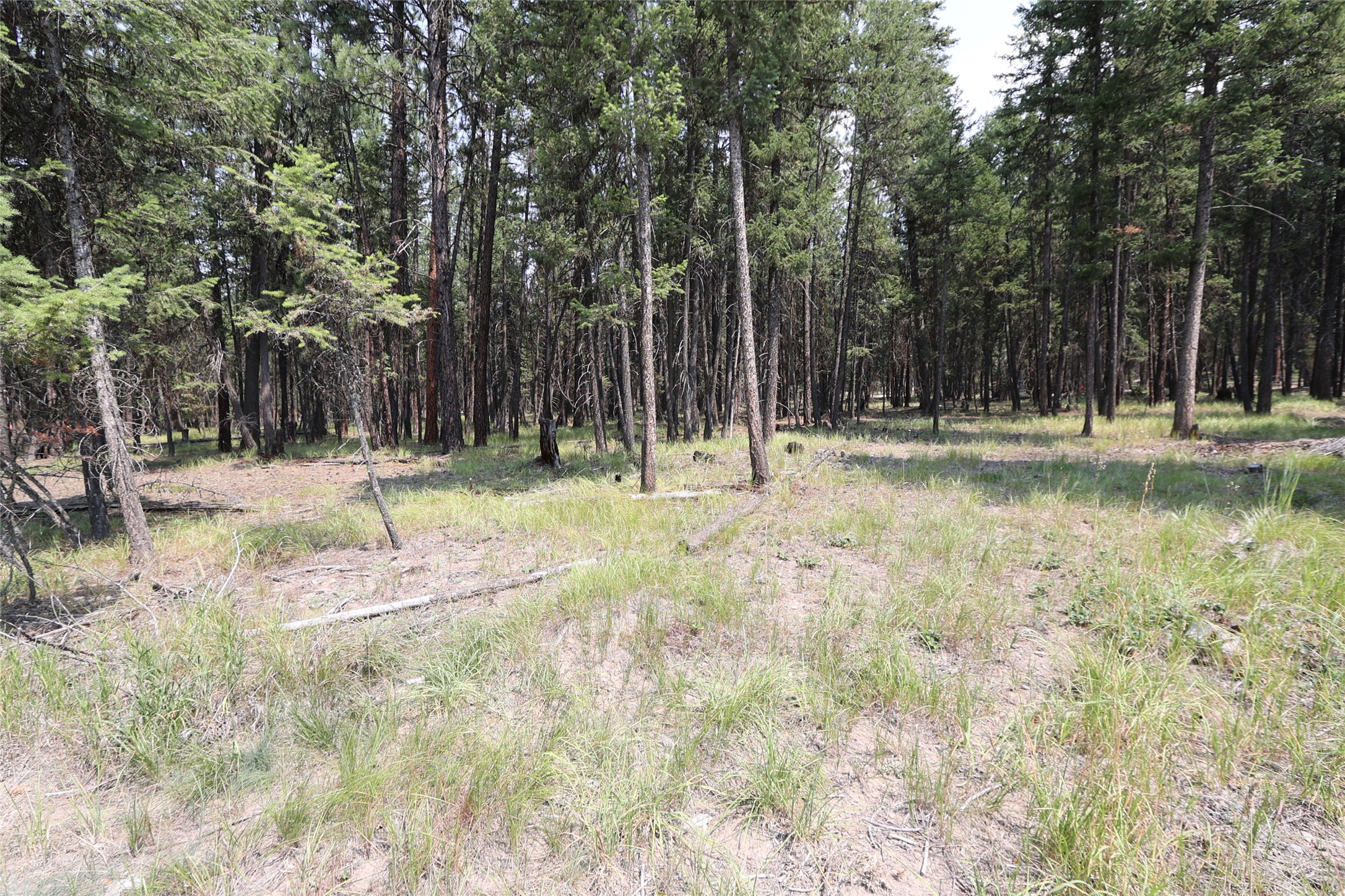 40 Old Cedar Creek Road