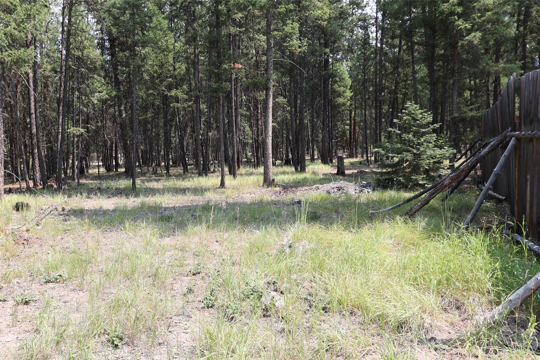 40 Old Cedar Creek Road