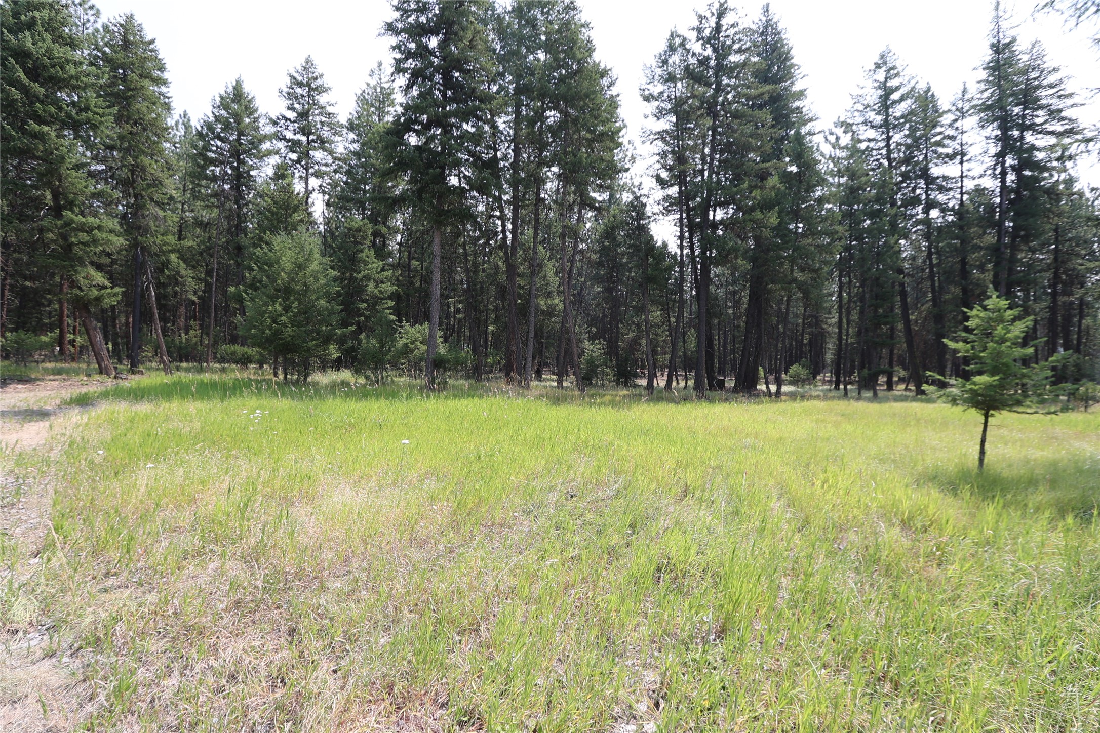 40 Old Cedar Creek Road
