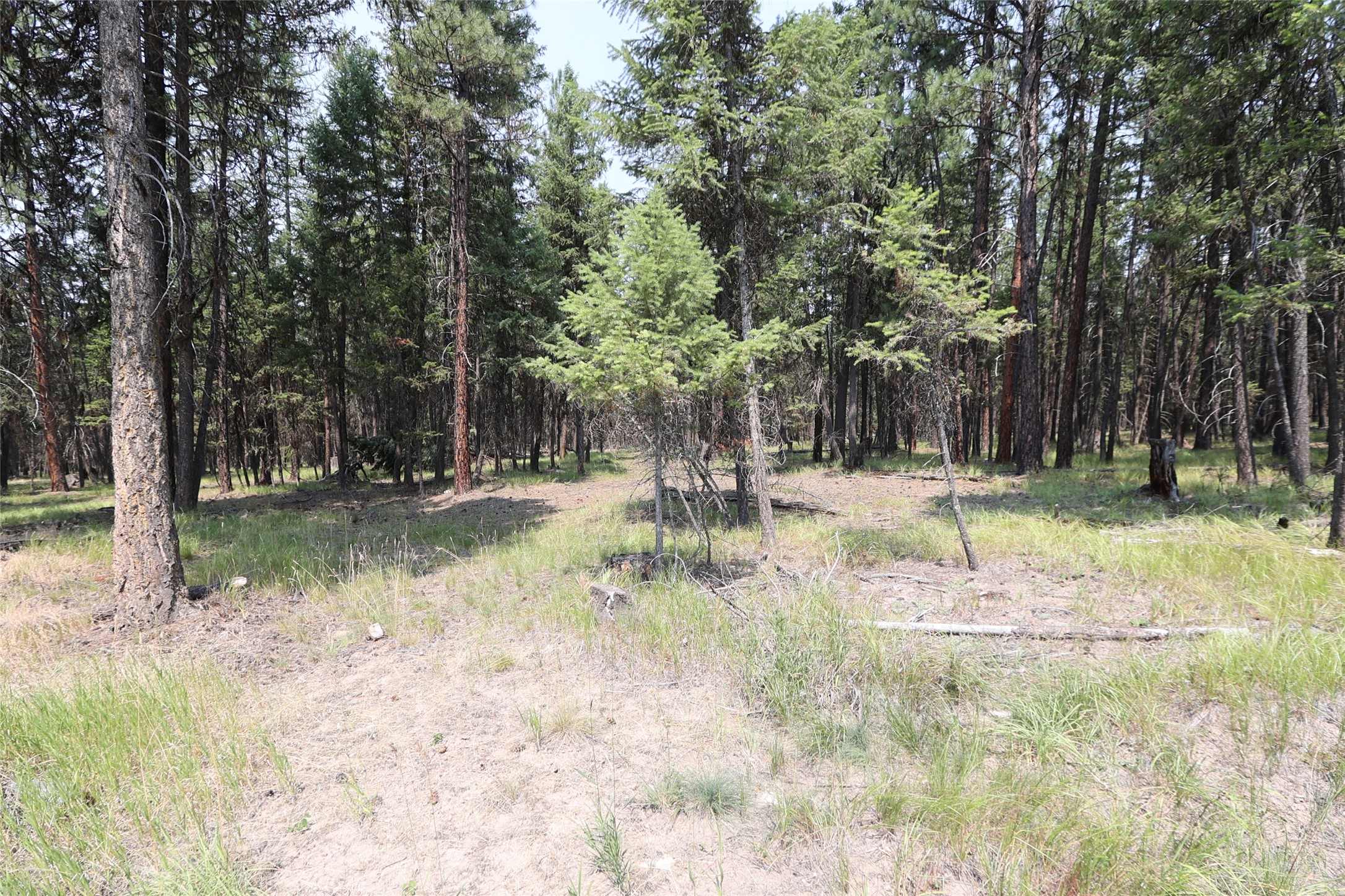 40 Old Cedar Creek Road
