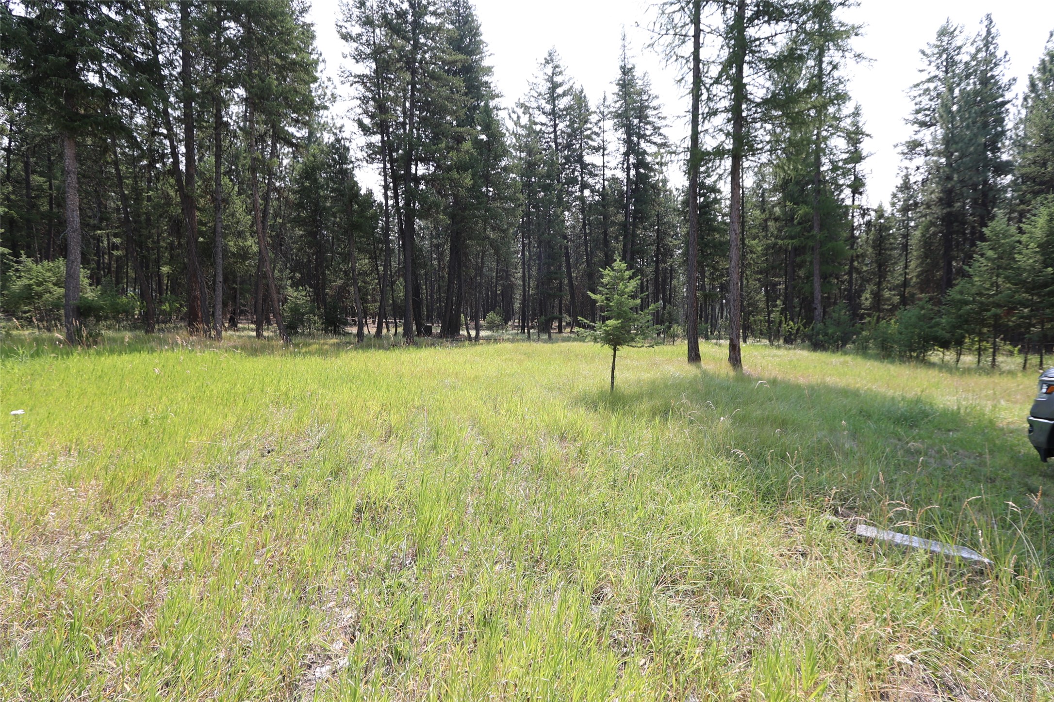 40 Old Cedar Creek Road